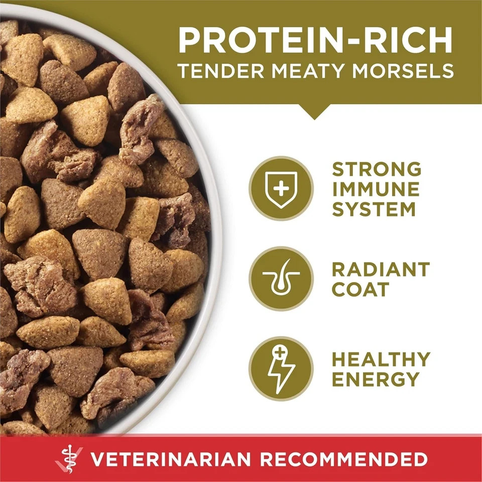 Purina® ONE® Adult Dog Dry Food – Lamb & Rice, High-Protein 40 LB