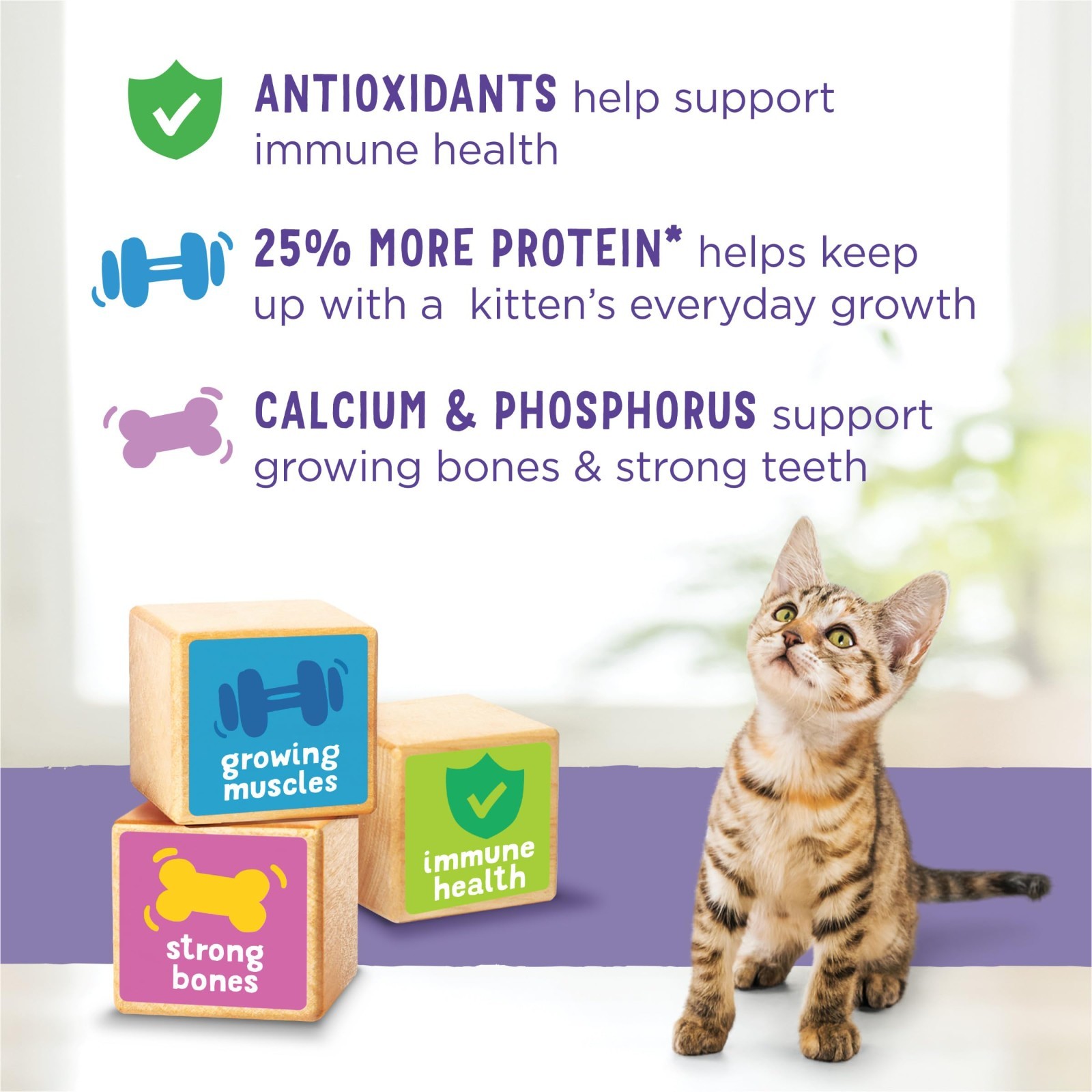 4 Pk – Purina Kitten Chow,Kitten Cat Dry Food,Chicken, Healthy Development, 14lb