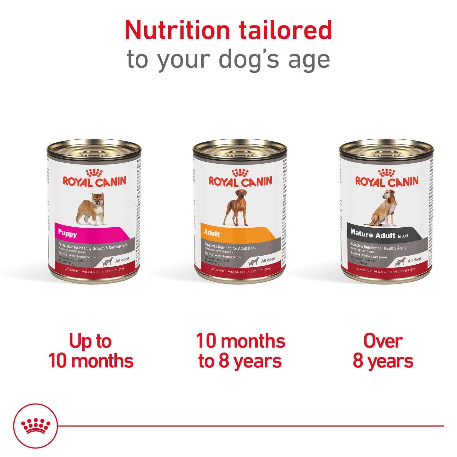 Royal Canin Canine Health Nutrition Adult In Gel Canned Dog Food, 13.5 oz, 24ct