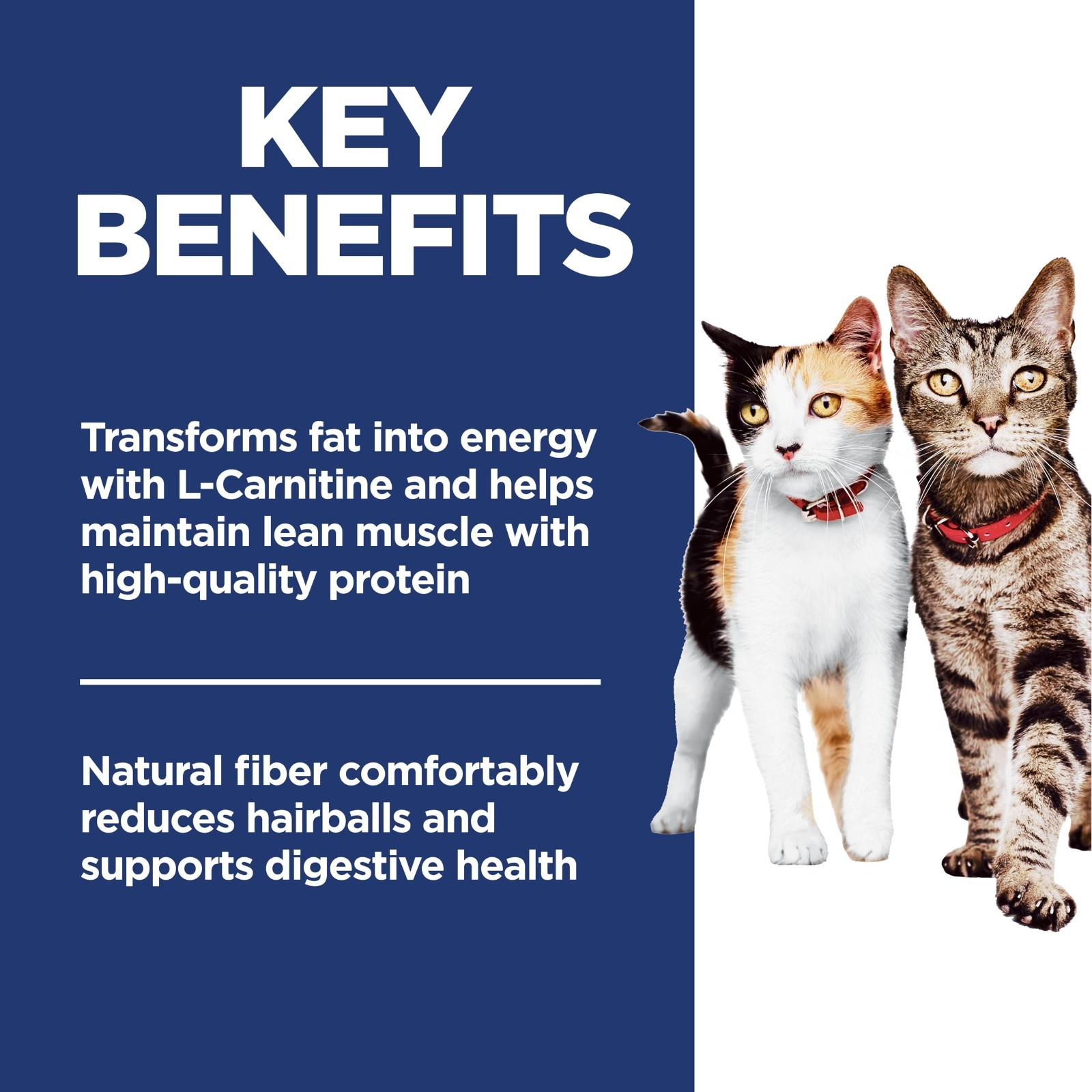 Hill’s Science Diet Adult 1-6 Multiple Benefit Dry Cat Food, Chicken, 15.5 lb.