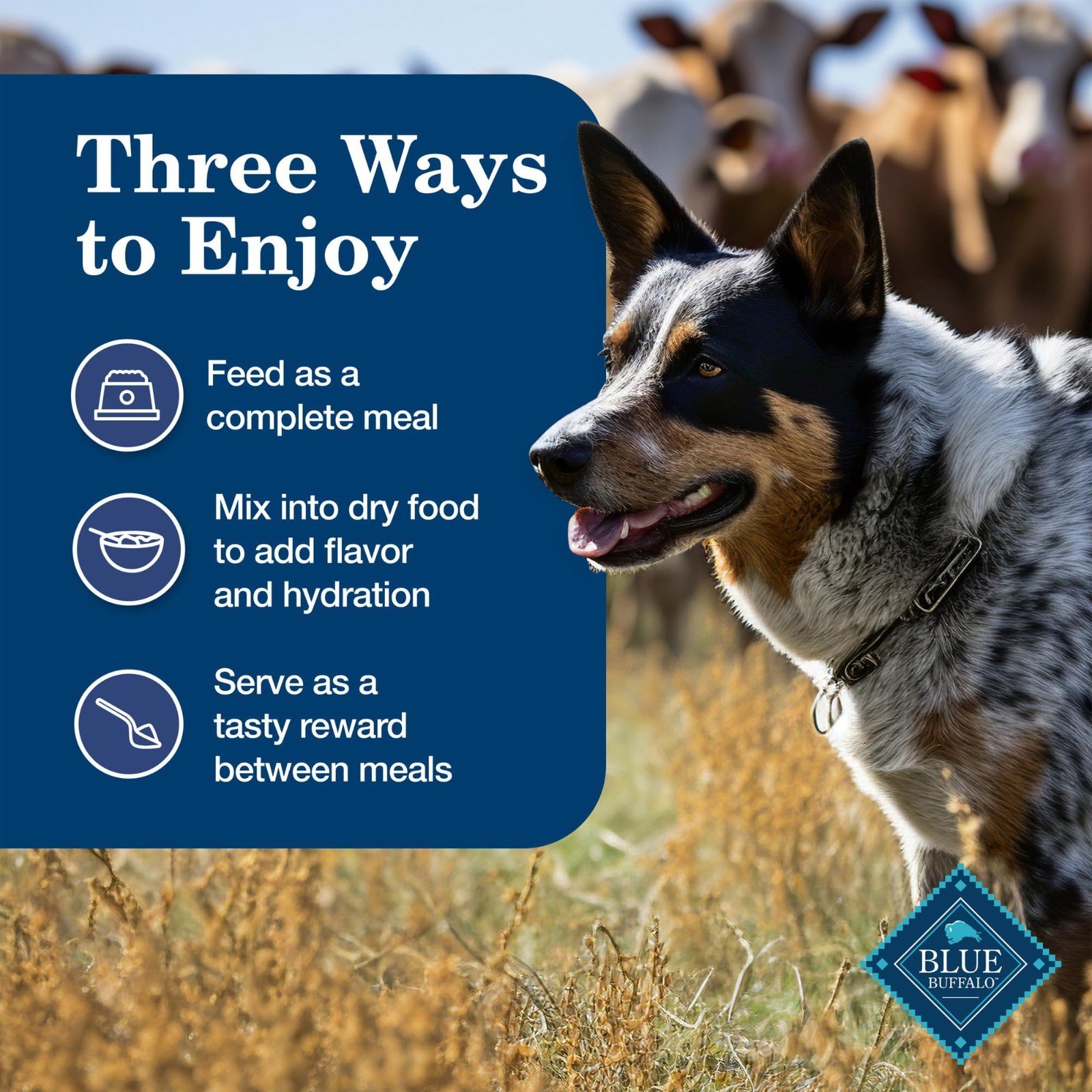 Blue Buffalo Homestyle Recipe Adult Wet Dog Food, Chicken – 12.5 Oz x 24 count