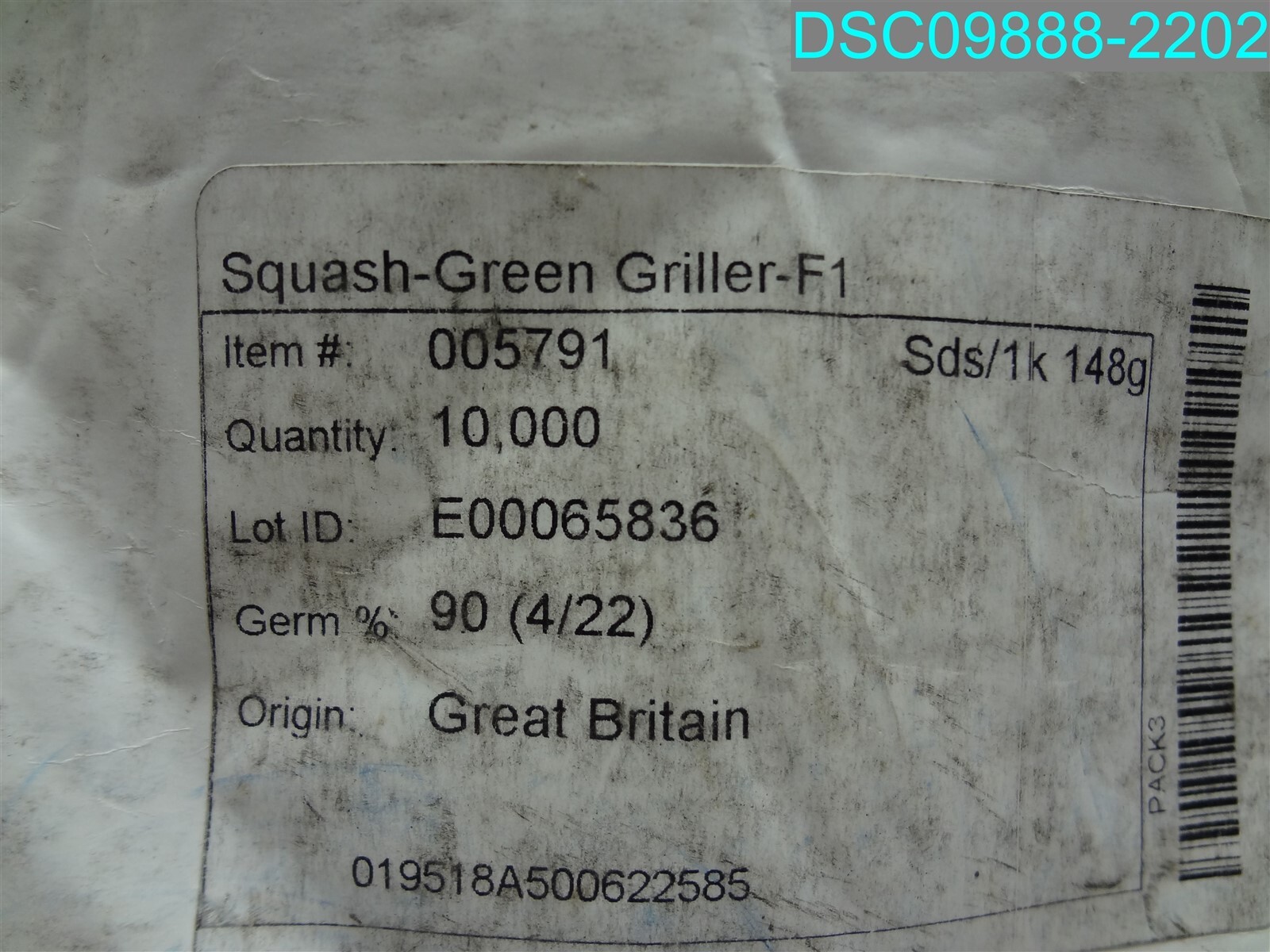 QTY=10,000: Green Griller F1 Hybrid Summer Squash Seeds