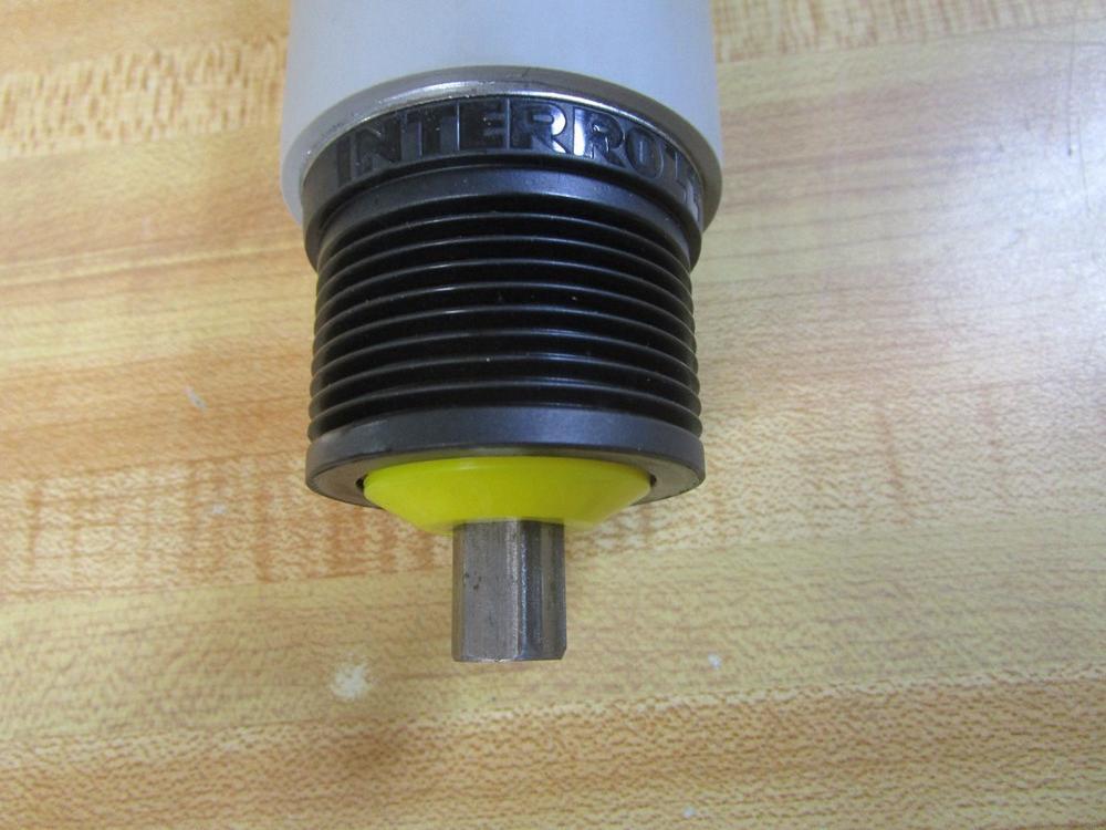 PCD 163K312H01 Interroll Roller, Idler