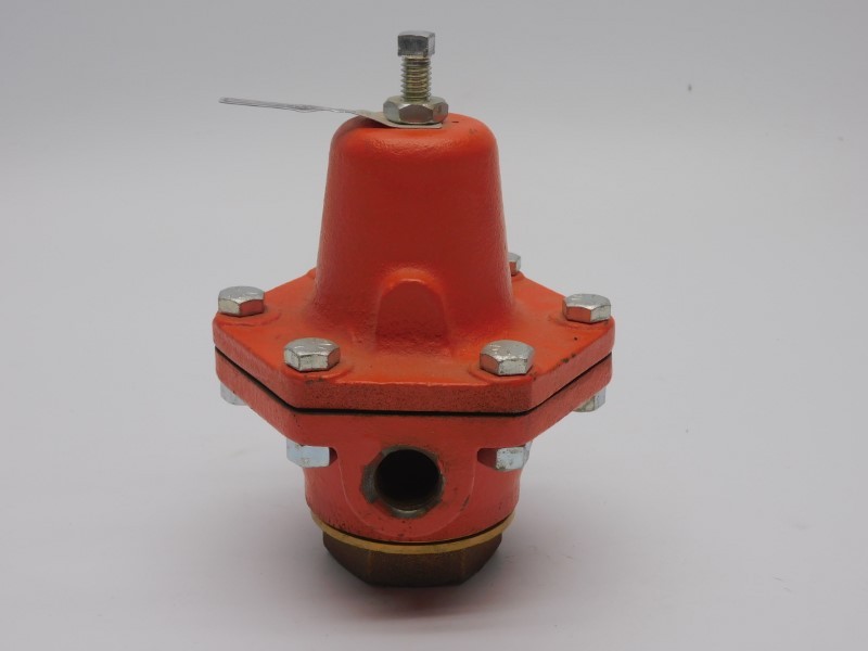 CASH VALVE TYPE B 25PSI 1/2″ NSNP