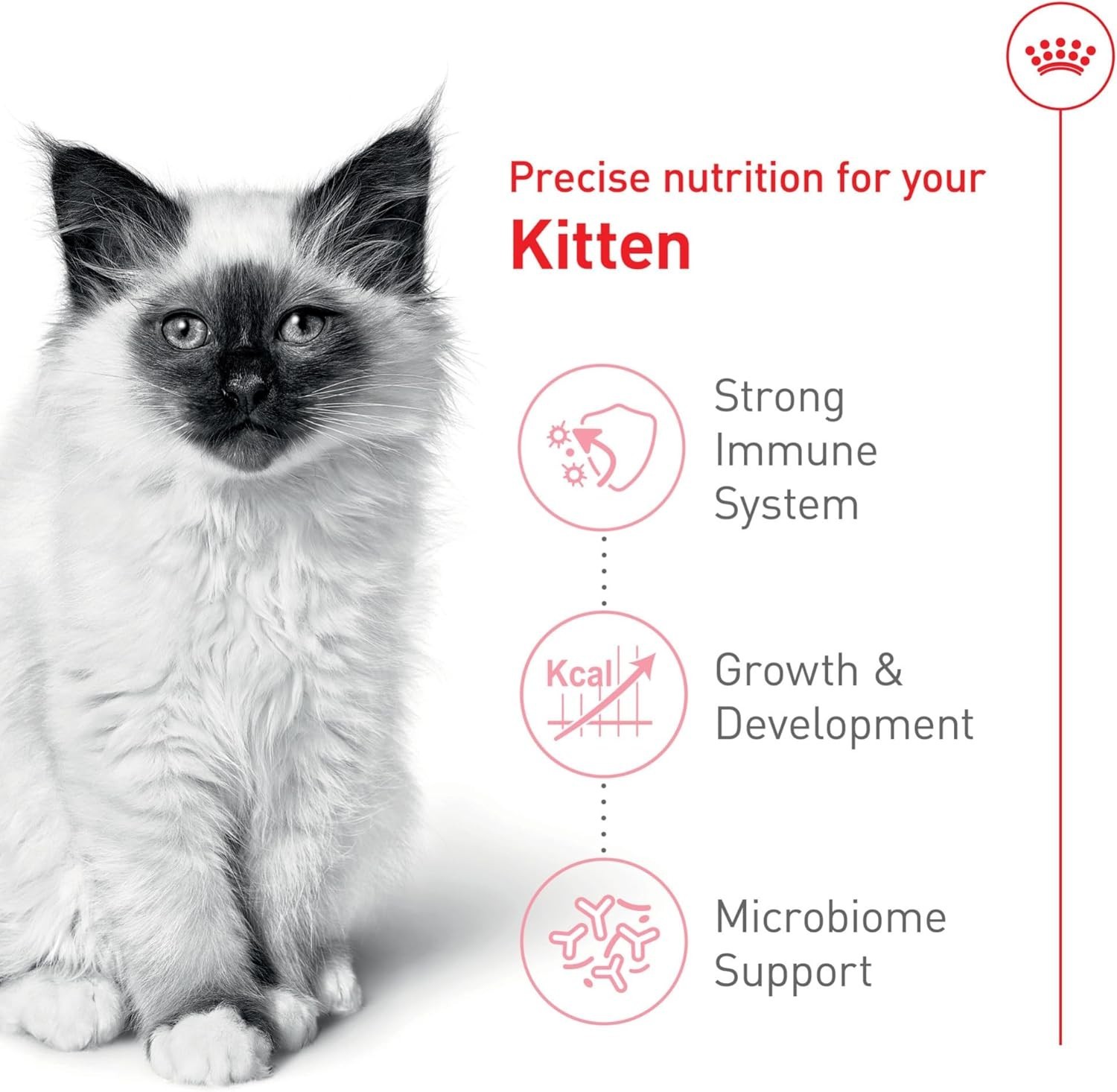 Royal Canin Feline Health Nutrition Kitten Dry Cat Food, 14 lbs, FREE SHIPPING