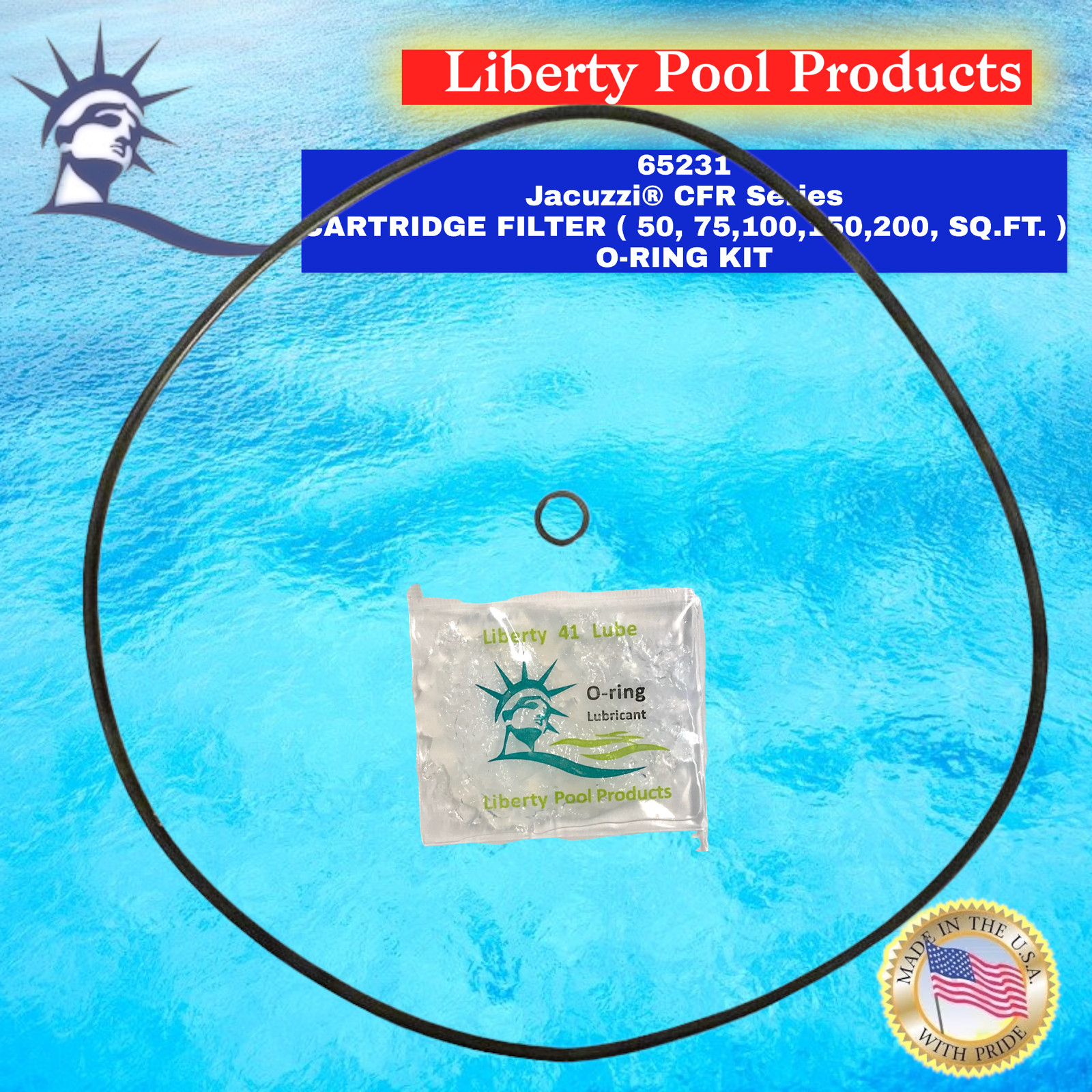 CFR & EF Cartridge Filter O-Ring Kit Models 50 75 100 150 65231 Kit For Jacuzzi