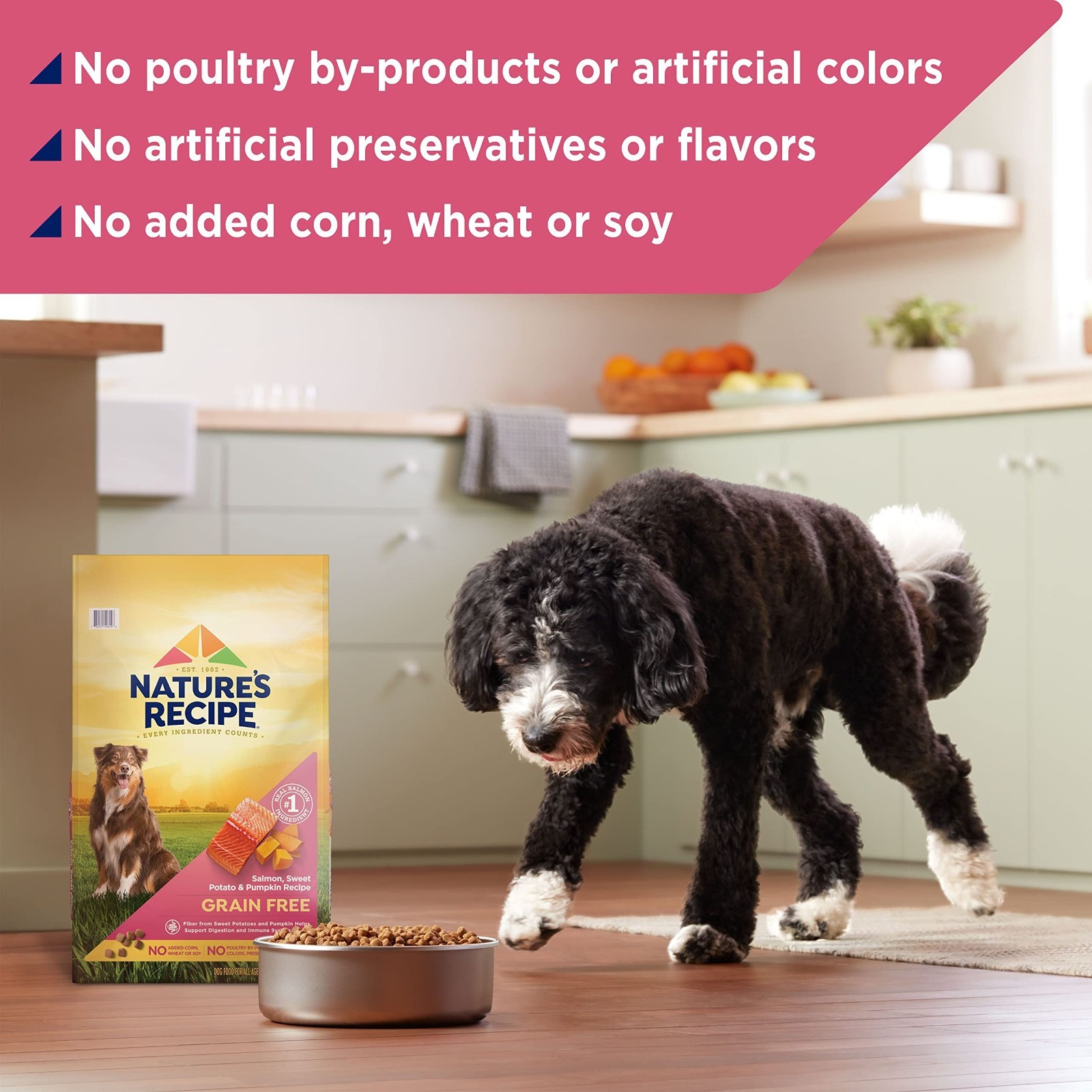 Nature’s Recipe Grain Free Dry Dog Food,Salmon,Sweet Potato & Pumpkin Recipe,34l
