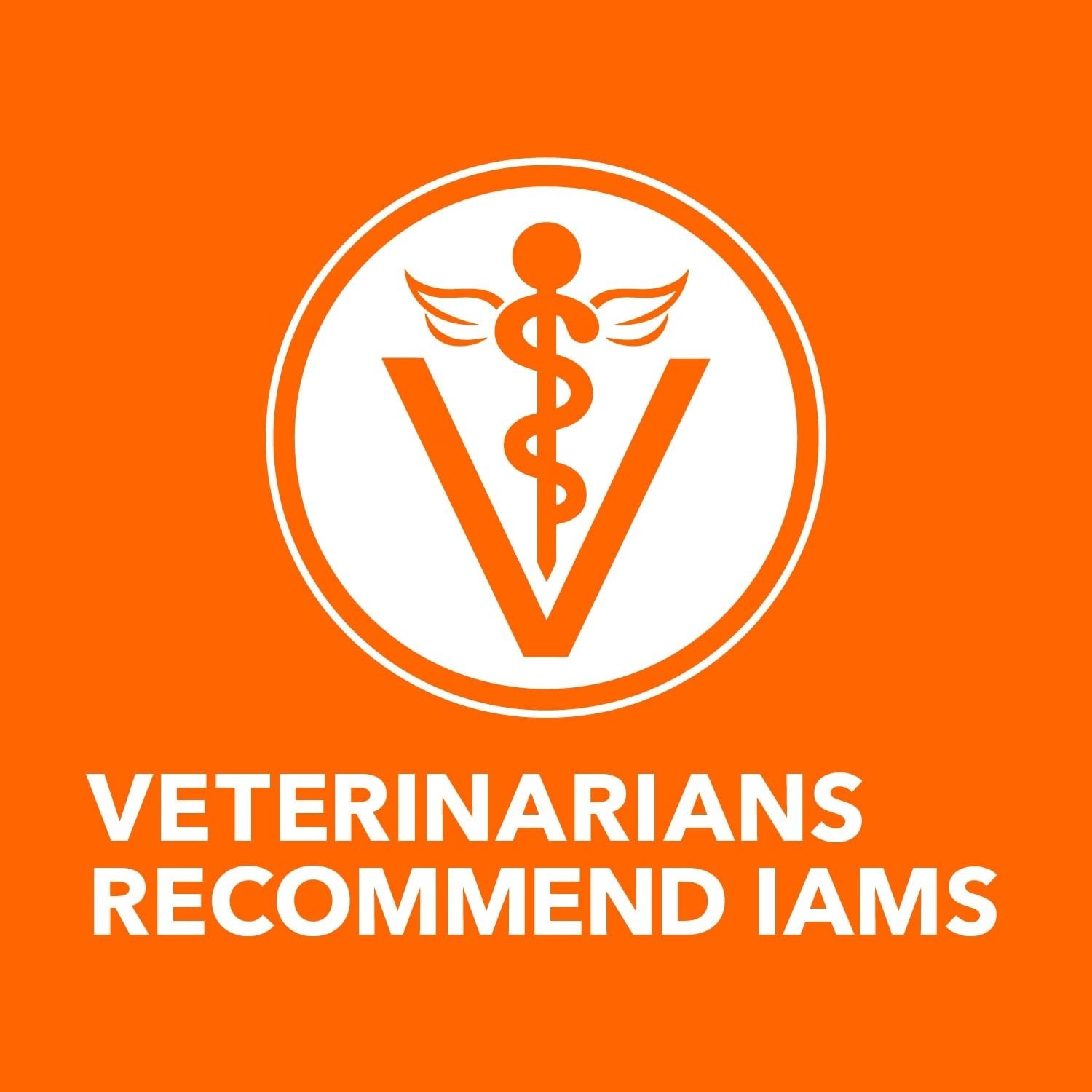 IAMS Proactive Health Adult Dry Cat Food,Sensitive Digestion & Skin,Turkey, 6lb