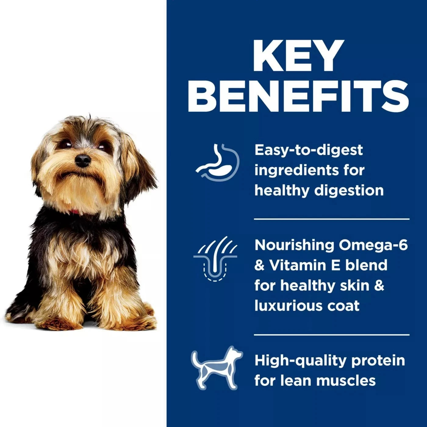 Science Diet Small & Mini Adult Dry Dog Food – Lamb Meal & Brown Rice 15.5 Lb