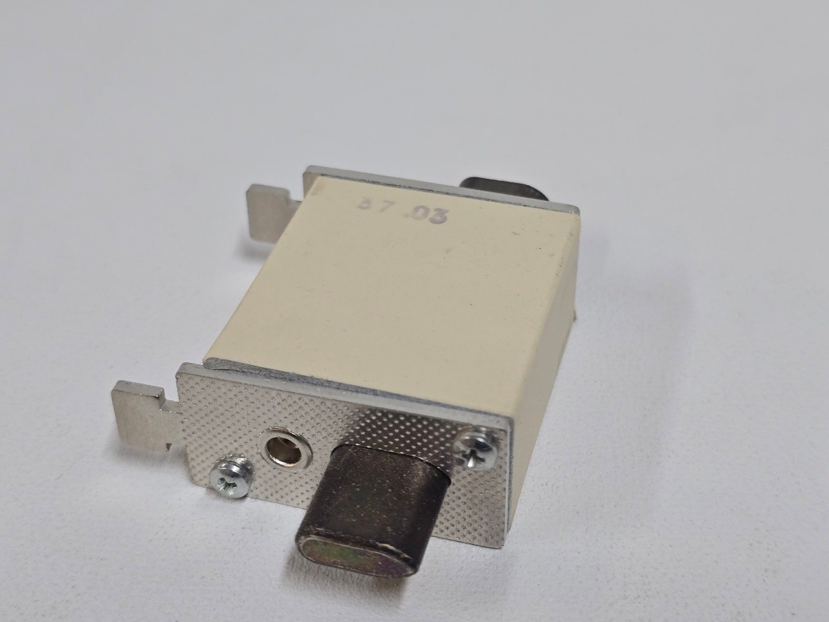Ernst C00-100A NH00C 100A 500V Ceramic Cartridge Fuse Links