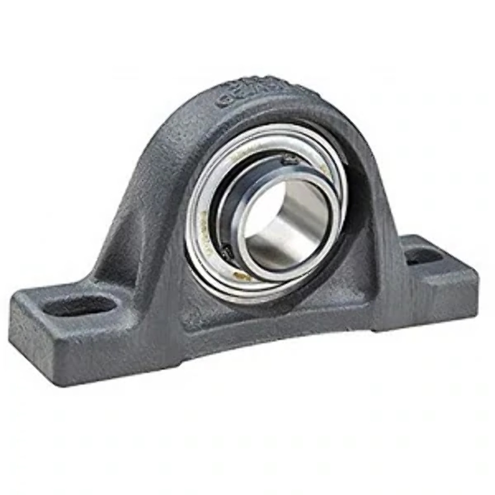 INA (Schaeffler) Pillow Block Ball Bearing RASE100-XL