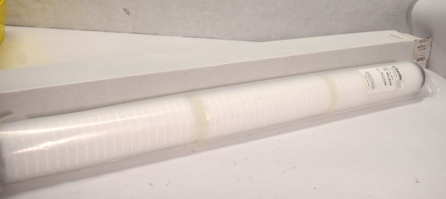 Strainrite Clarity Clear Solutions Replacement Filter PPG8-30C1E*D 874013 PPG8