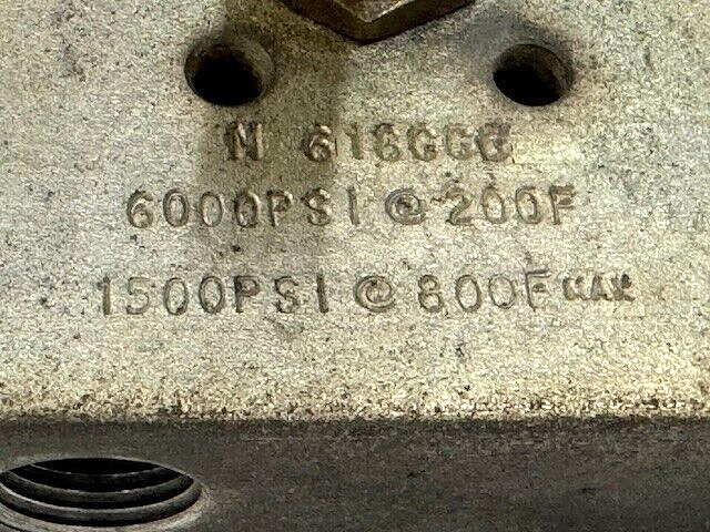 PGI 2 VALVE MANIFOLD M-618CCG 6000 PSI @ 200°F