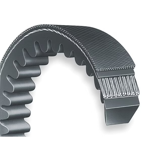 5VX570 Cogged, Wedge V-Belt, 57 in Outside Length, 5/8 in Top Width, 17/32″
