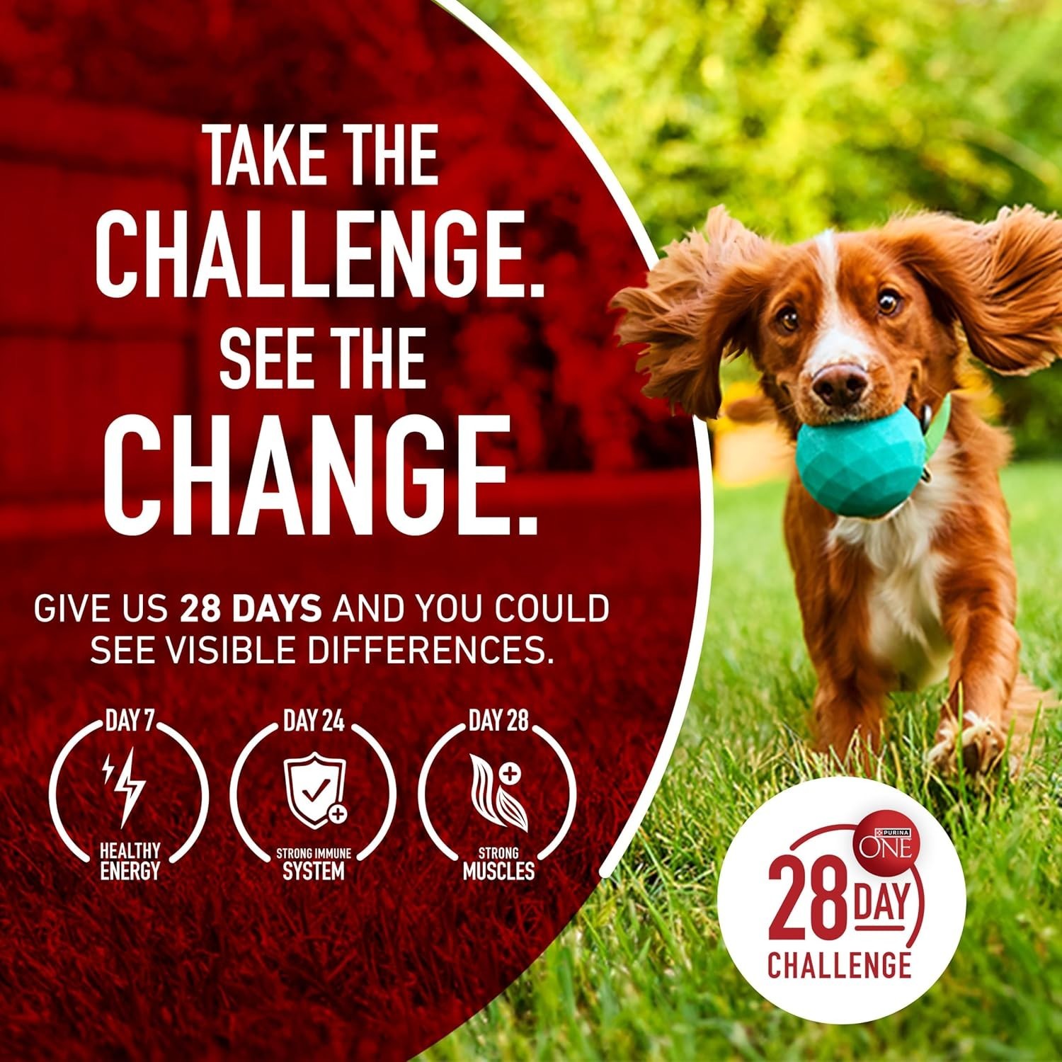 2 PK Purina ONE True Instinct High Protein Dry Dog Food – Turkey & Venison,15lbs