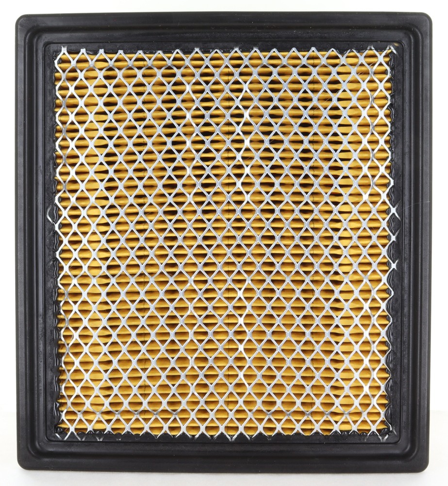 Prime Guard Air Filter (PAF6314HD)