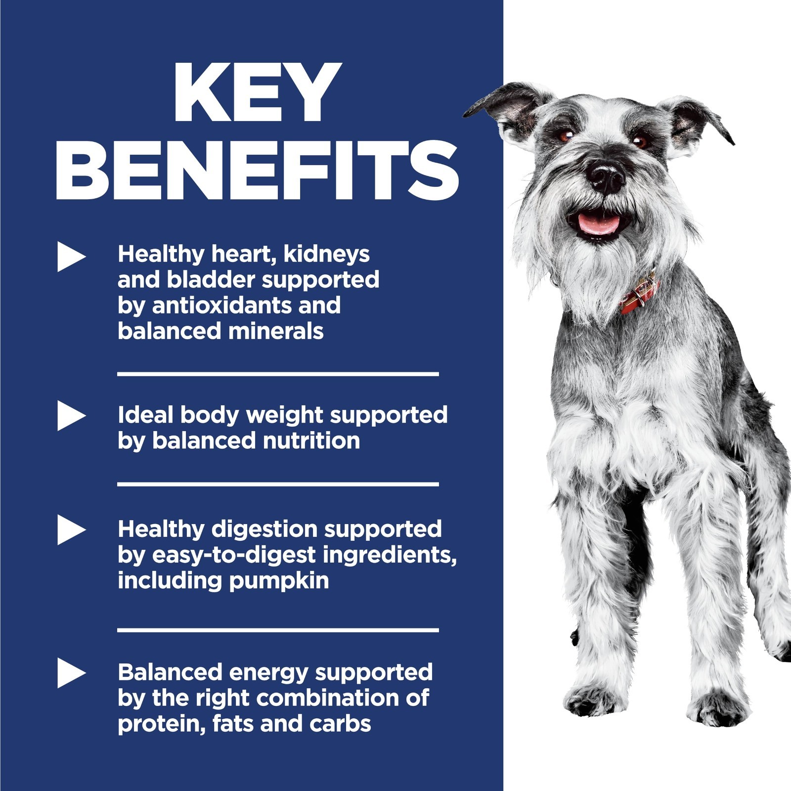 Hill’s Science Diet Small & Mini, Senior Adult 7+, Small & Mini Breeds Senior Pr
