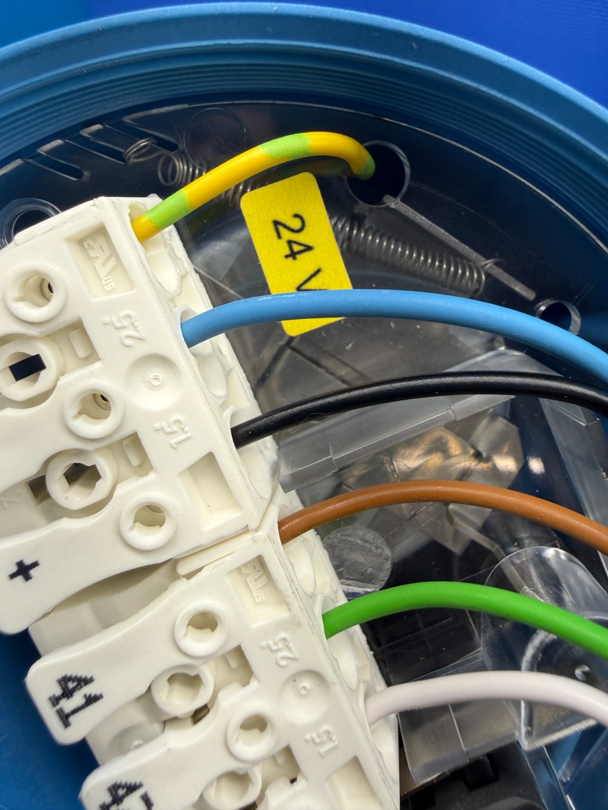 Endress+Hauser FTE-31 Soliswitch Rotary Paddle Point Level Switch