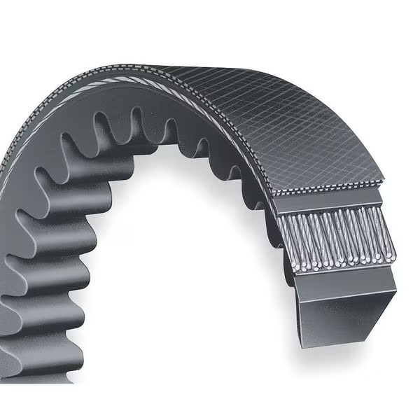 3VX360 Cogged, Wedge V-Belt, 36 in Outside Length, 3/8 in Top Width, 5/16″