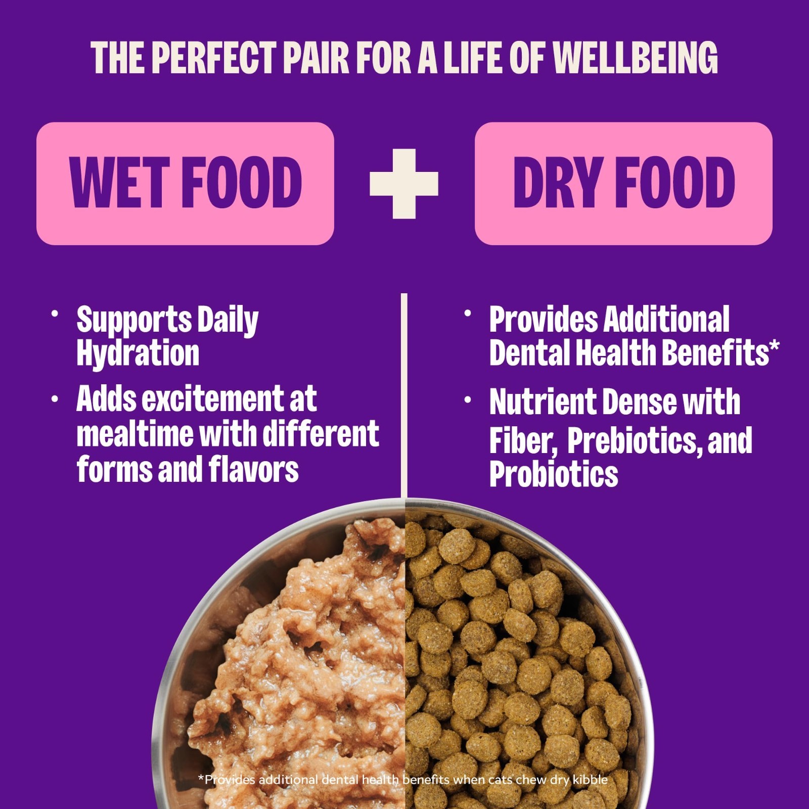 Wellness Complete Health Pate Adult Canned Wet Cat Food, Chicken, 12.5 oz, 12 Ct