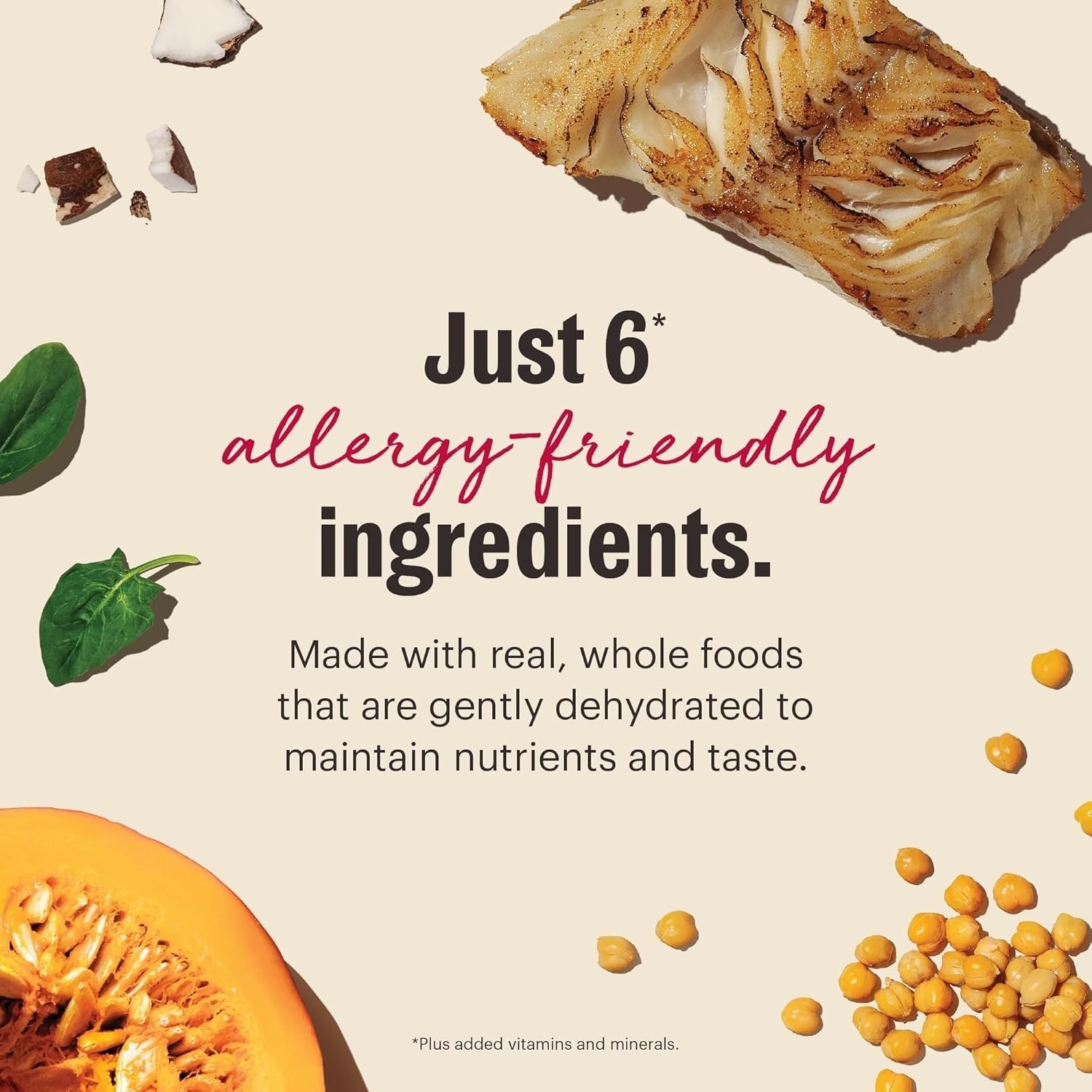 The Honest Kitchen Human Grade Wholemade Limited Ingredient…Fish, 4lb (a19.5)