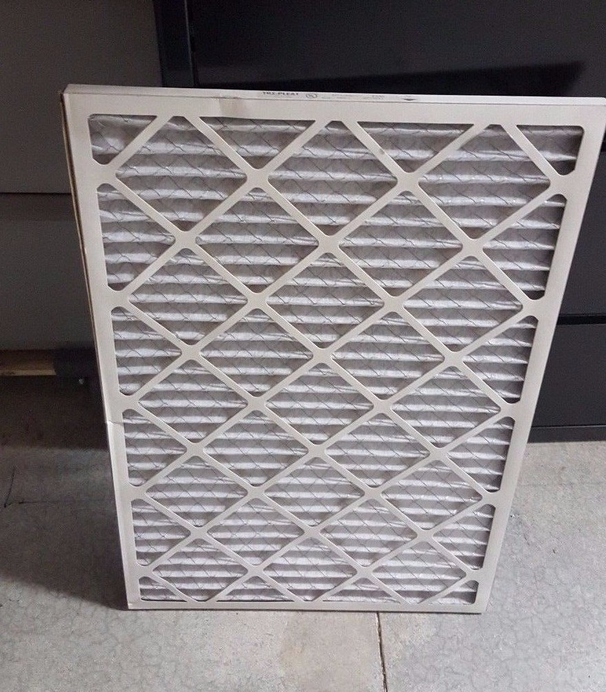 (Case of 6)–TRI-PLEAT ES40LE 20X30X1 (2302030140)