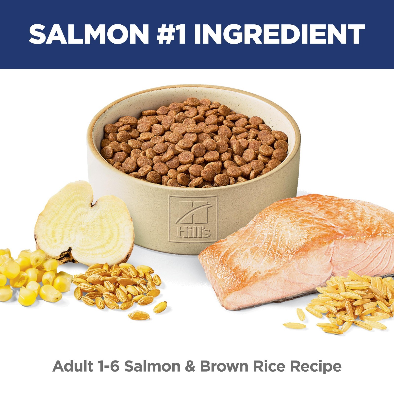 Hill’s Science Diet Adult 1-6 Dry Cat Food, Salmon & Brown Rice, 6.5 lb. Bag