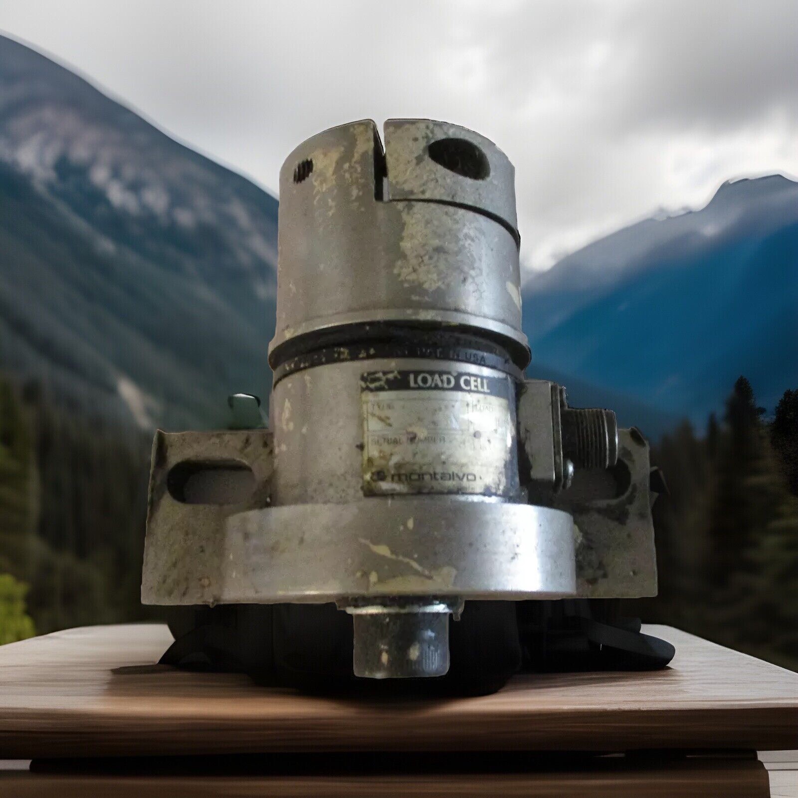 8313 MONTALVO LOAD CELL 1000 LBS