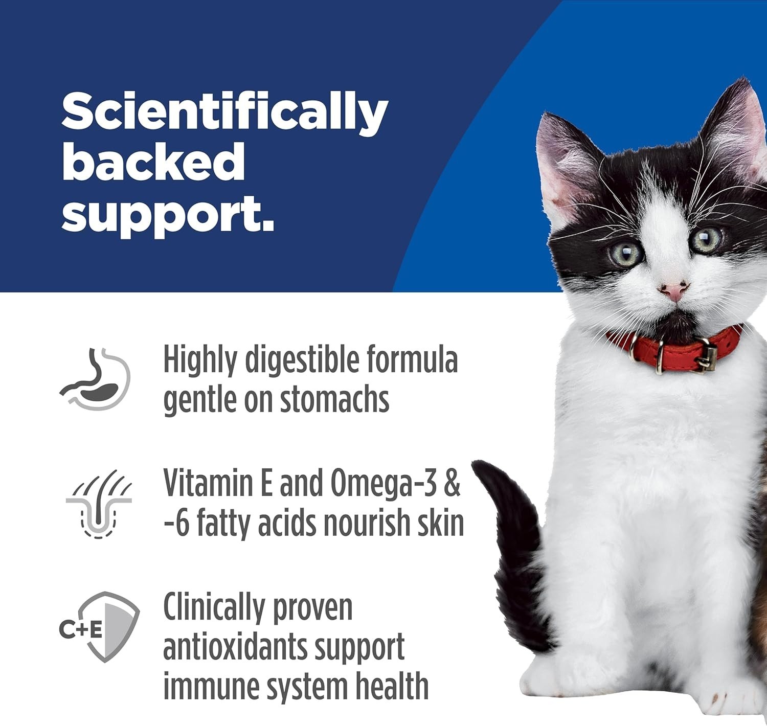 Hill’s Science Diet Kitten Sensitive Stomach Salmon Cat Food 6lb