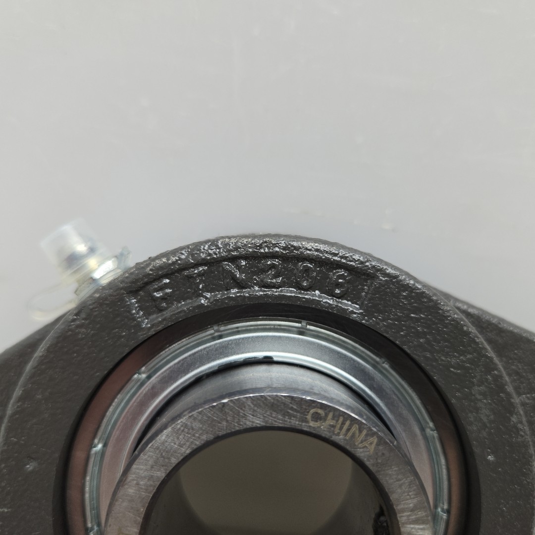Sst SB206-19PG 1 3/16″ Bore Insert Bearing FTN206 2 BOLT Flange Mount Narrow New