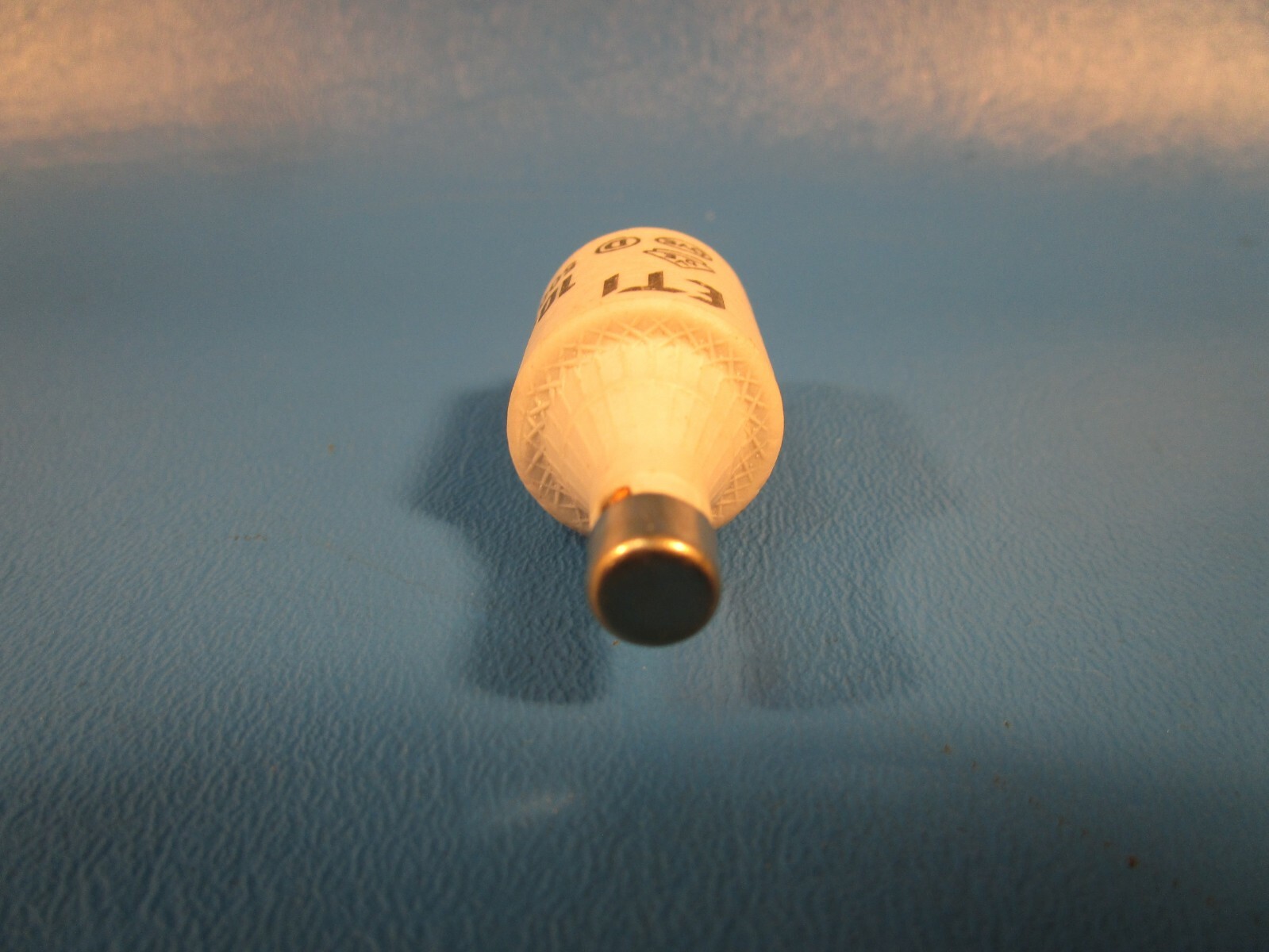 ETI, 10A Ceramic Bottle Fuse, GL, 500 Volt