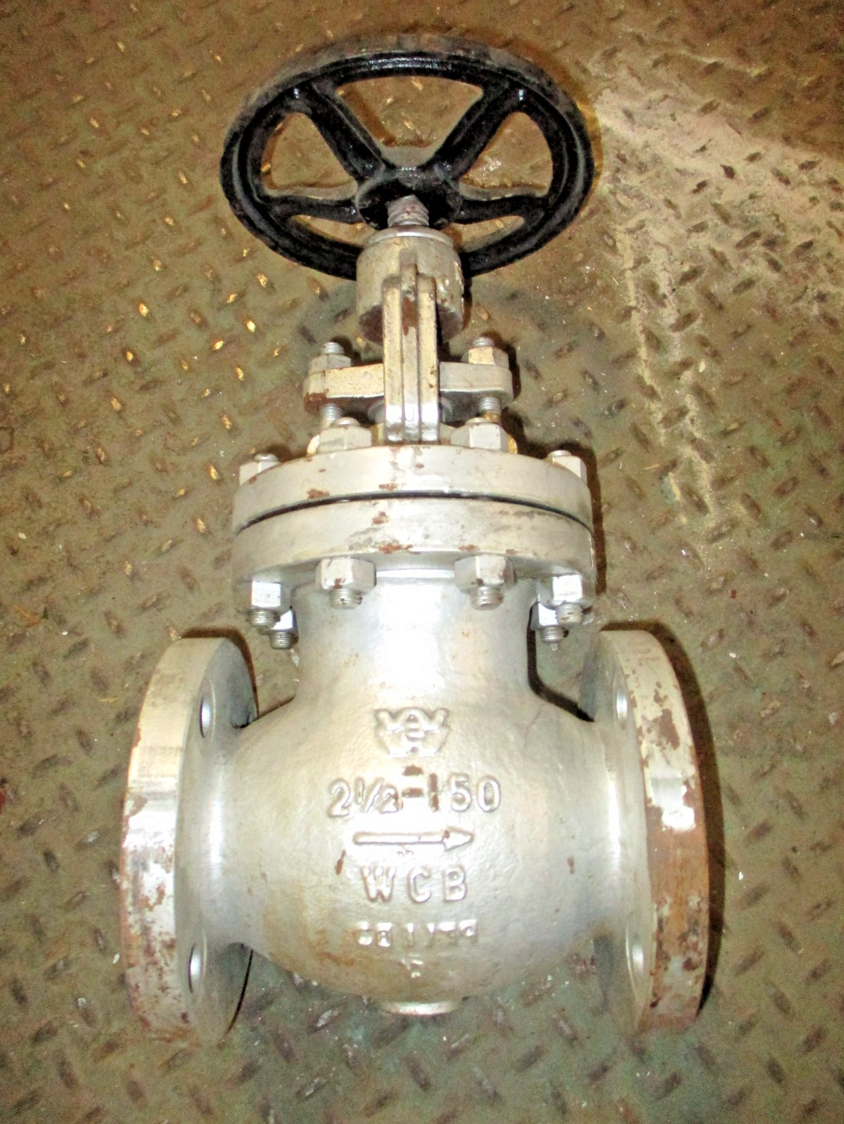 Williams Valve Size 2-1/2 Class 150 Cat# 152F2 Globe Valve WCB CR13 53456AES