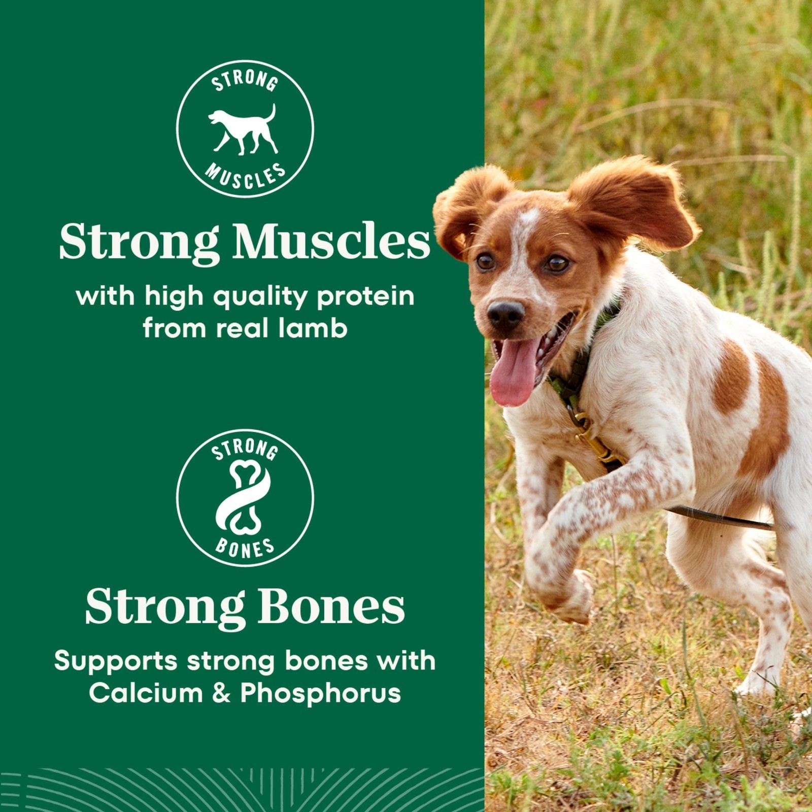 Nutro Natural Choice Small Bites Dry Dog Food, Adult Dog Food Dry Chicken, 30 lb