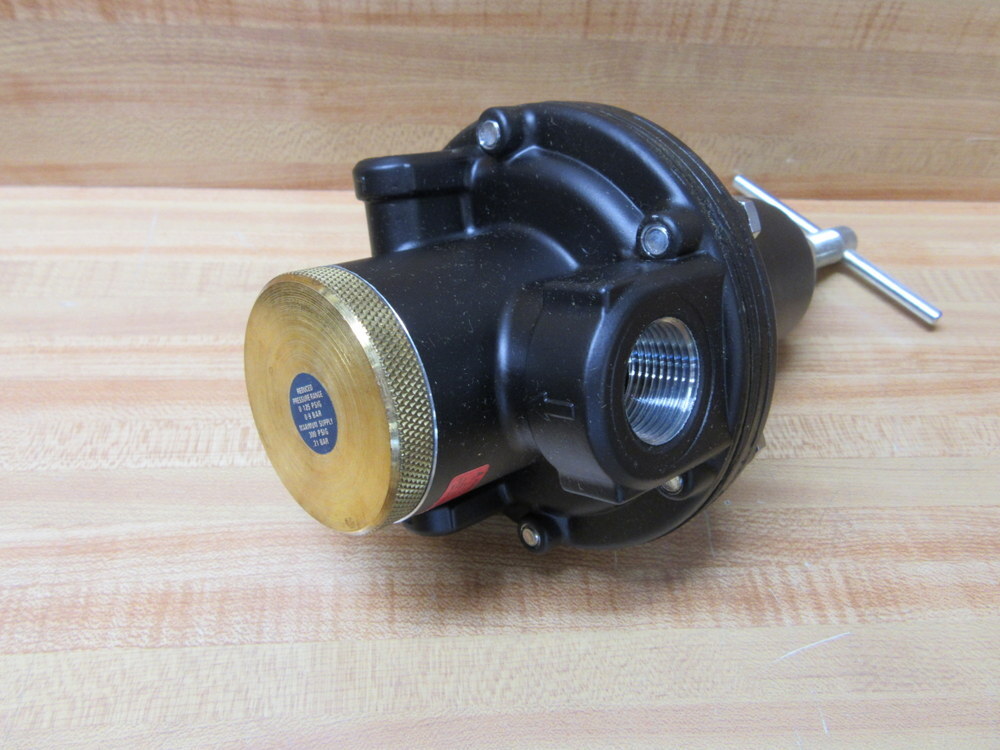 Watts R119-06CG/M2 Regulator w/Gauge R11906CGM2