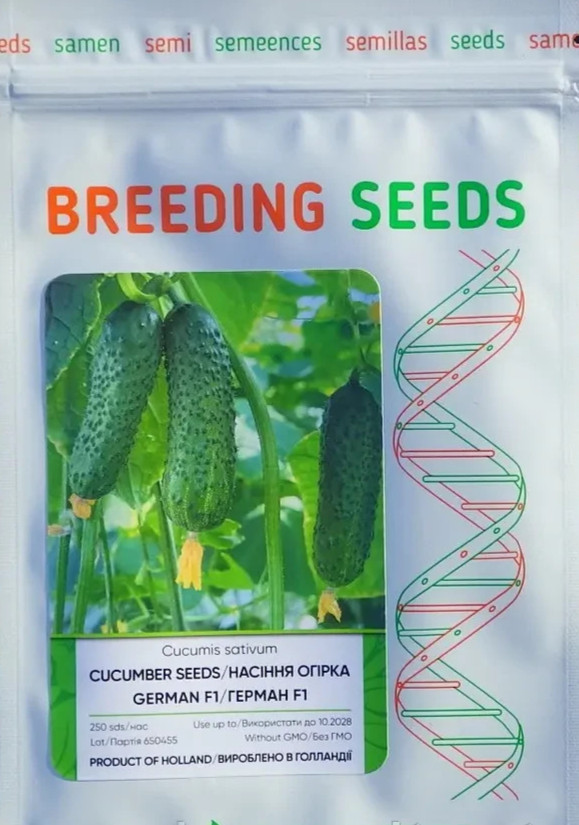 100 Seeds cucumber GERMAN F1 Герман Holland Gherkin Cемена Огурец