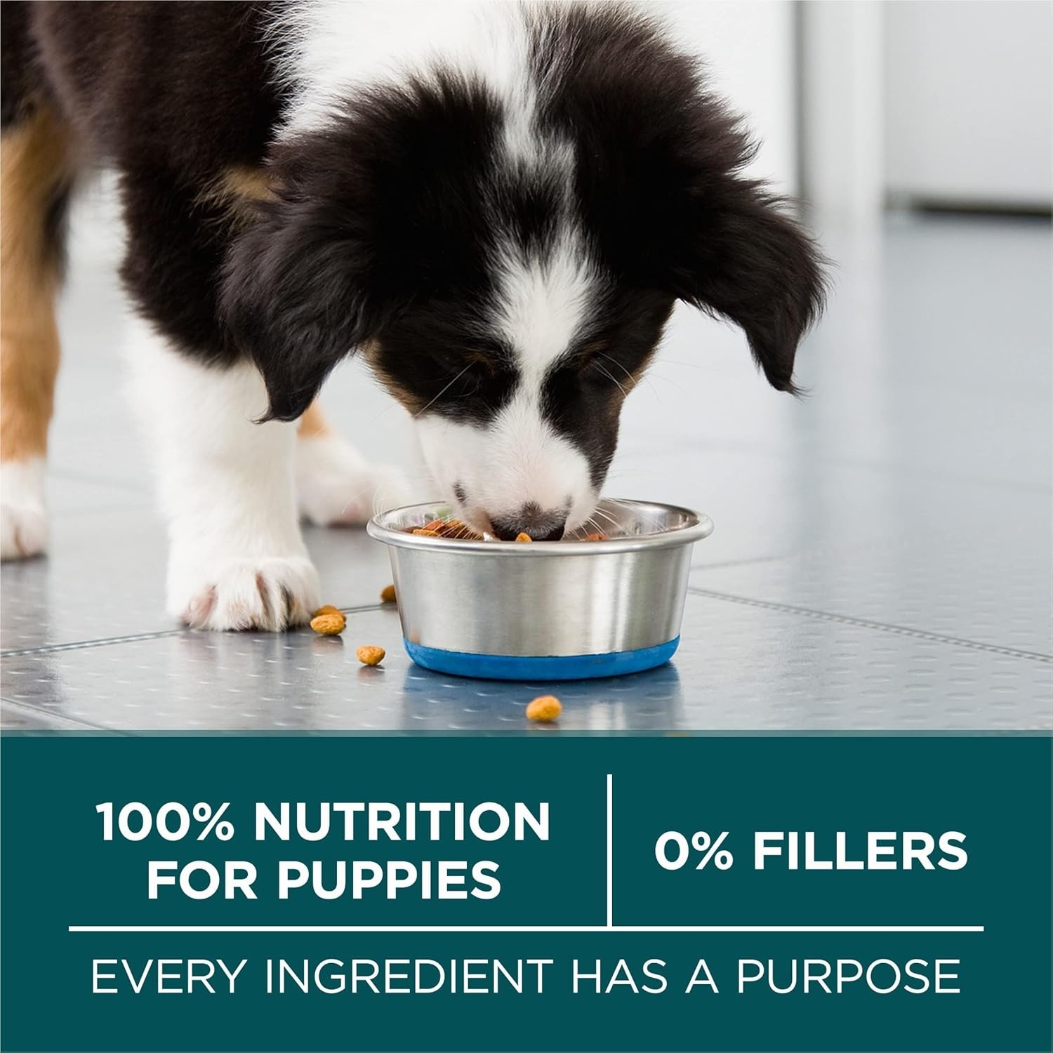 Purina ONE Plus Large Breed Puppy Food Dry Formula – 40 lb. Bag