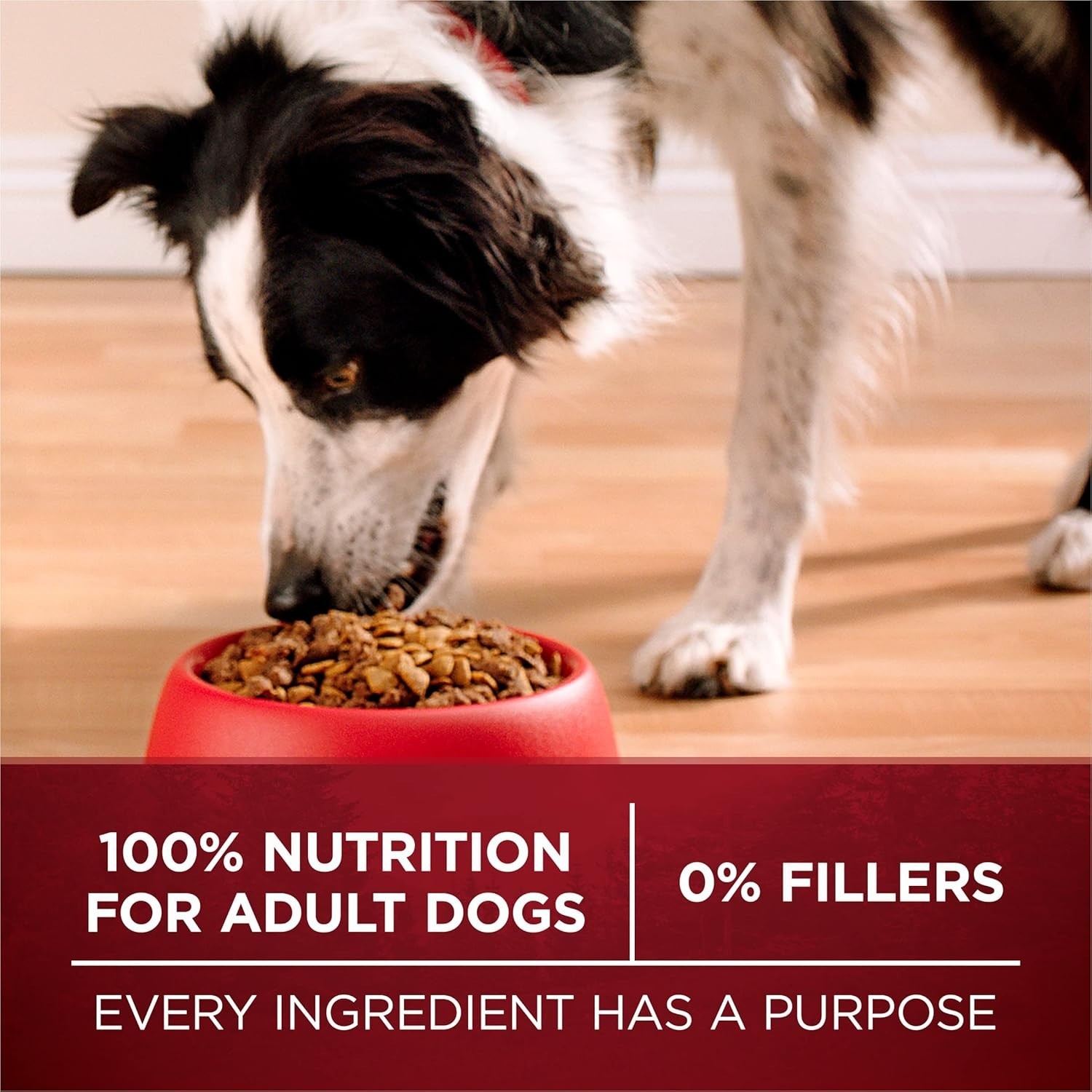 2 PK Purina ONE True Instinct High Protein Dry Dog Food – Turkey & Venison,15lbs