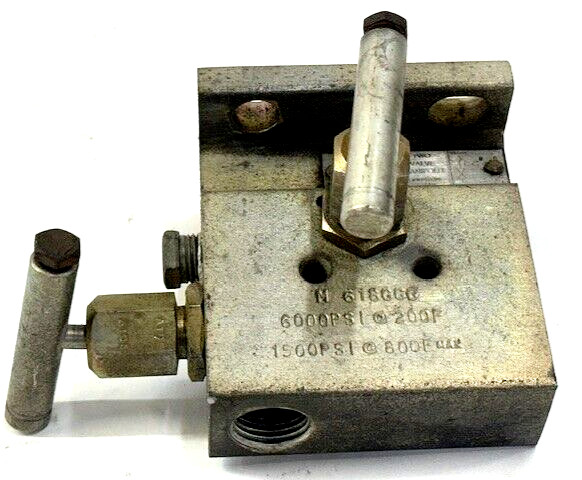 PGI 2 VALVE MANIFOLD M-618CCG 6000 PSI @ 200°F