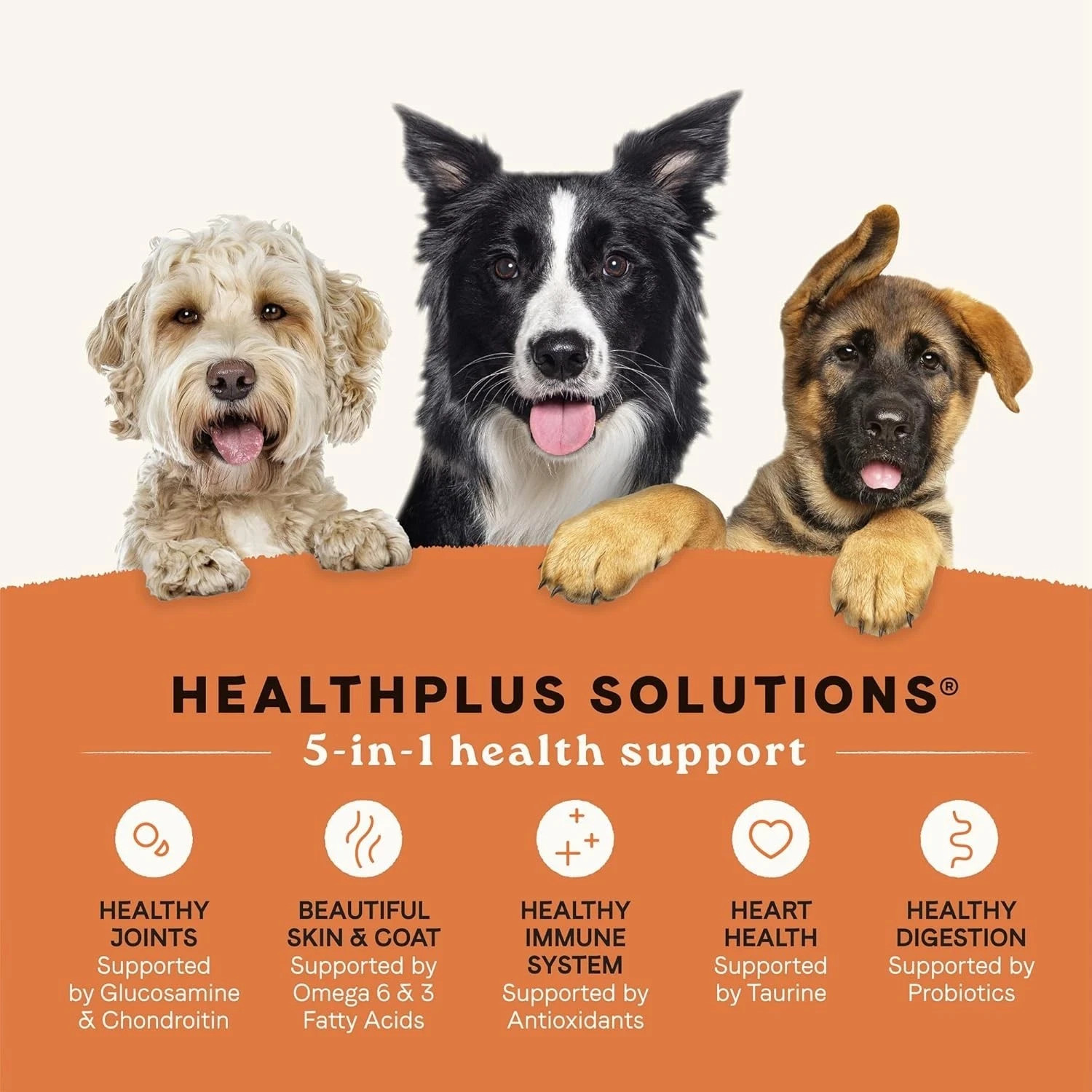 Canidae All Life Stages Dry Dog Food – Multi-Protein Recipe. 40 Lb (Pack of 1 )