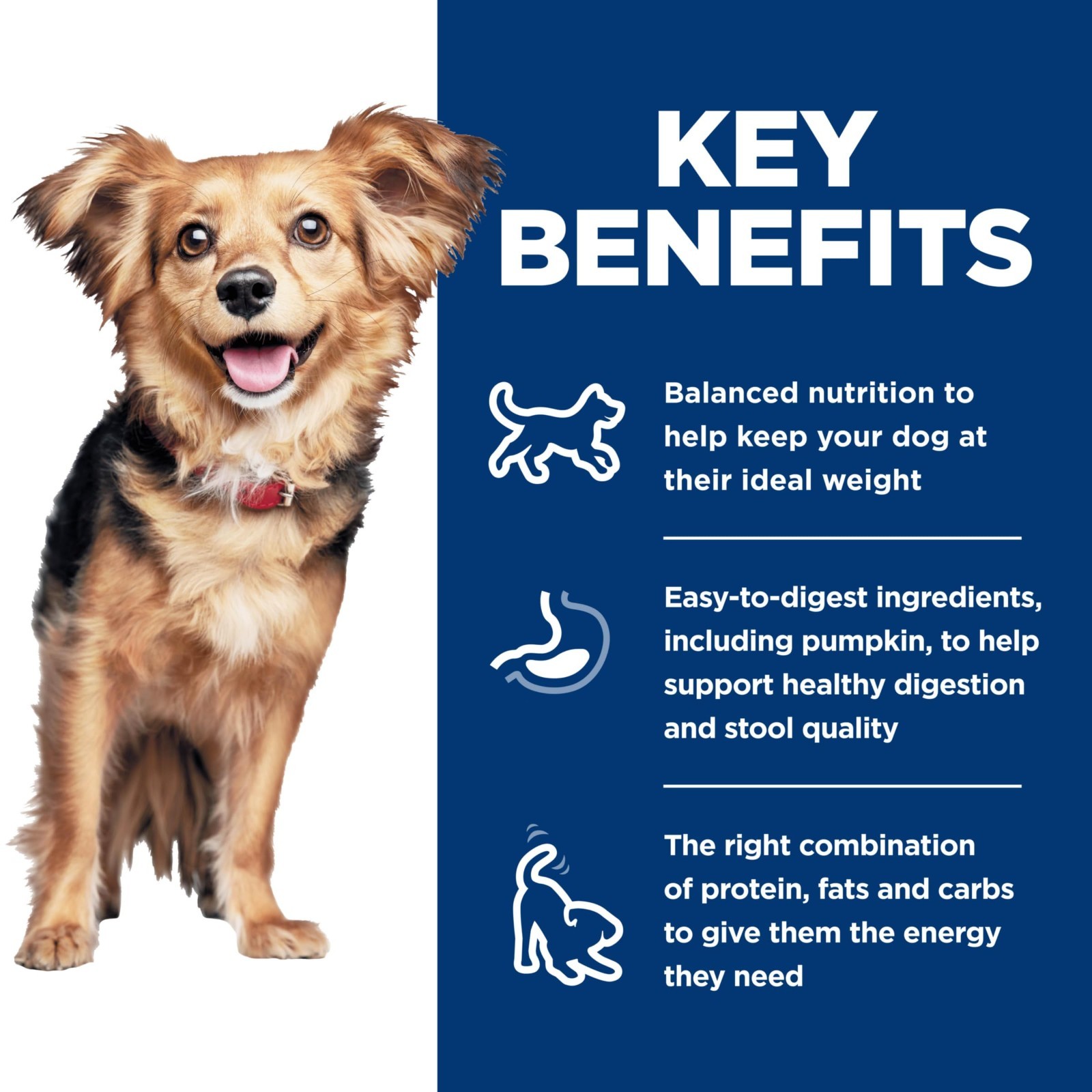 Hill’s Science Diet Perfect Digestion, Adult 1-6, Small & Mini Breeds Digestive