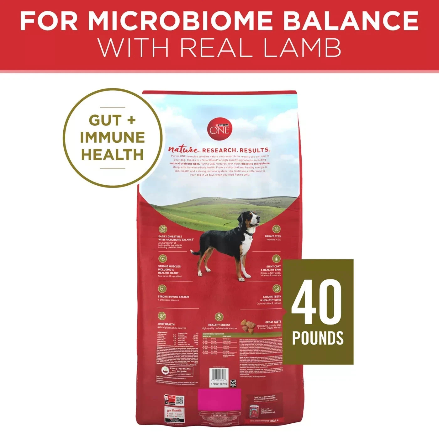Purina ONE SmartBlend Natural Dry Dog Food – Lamb & Rice, 40 Lb bag