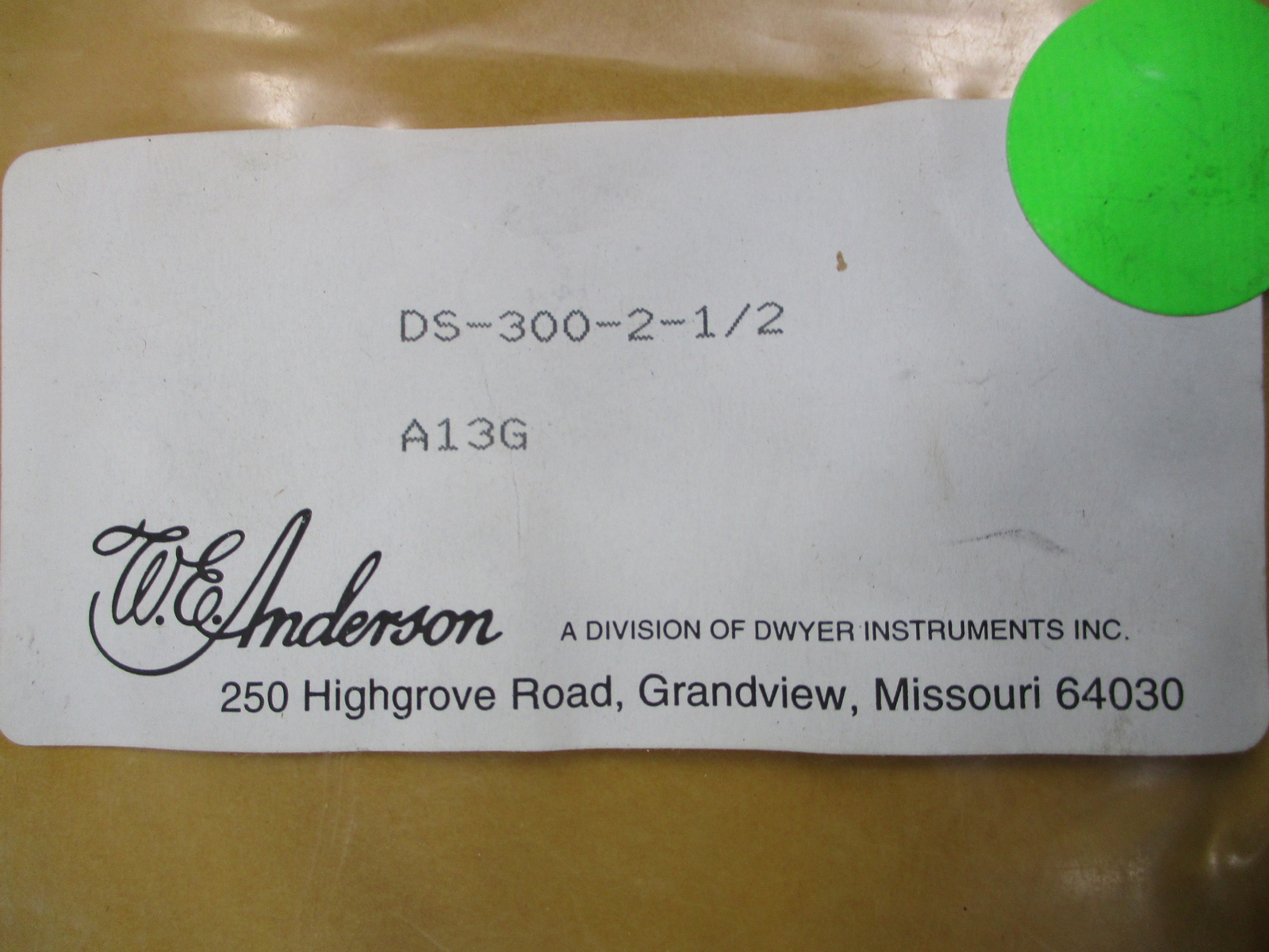 W.E ANDERSON DS-300-2-1/2 A13G SENSOR NSNP