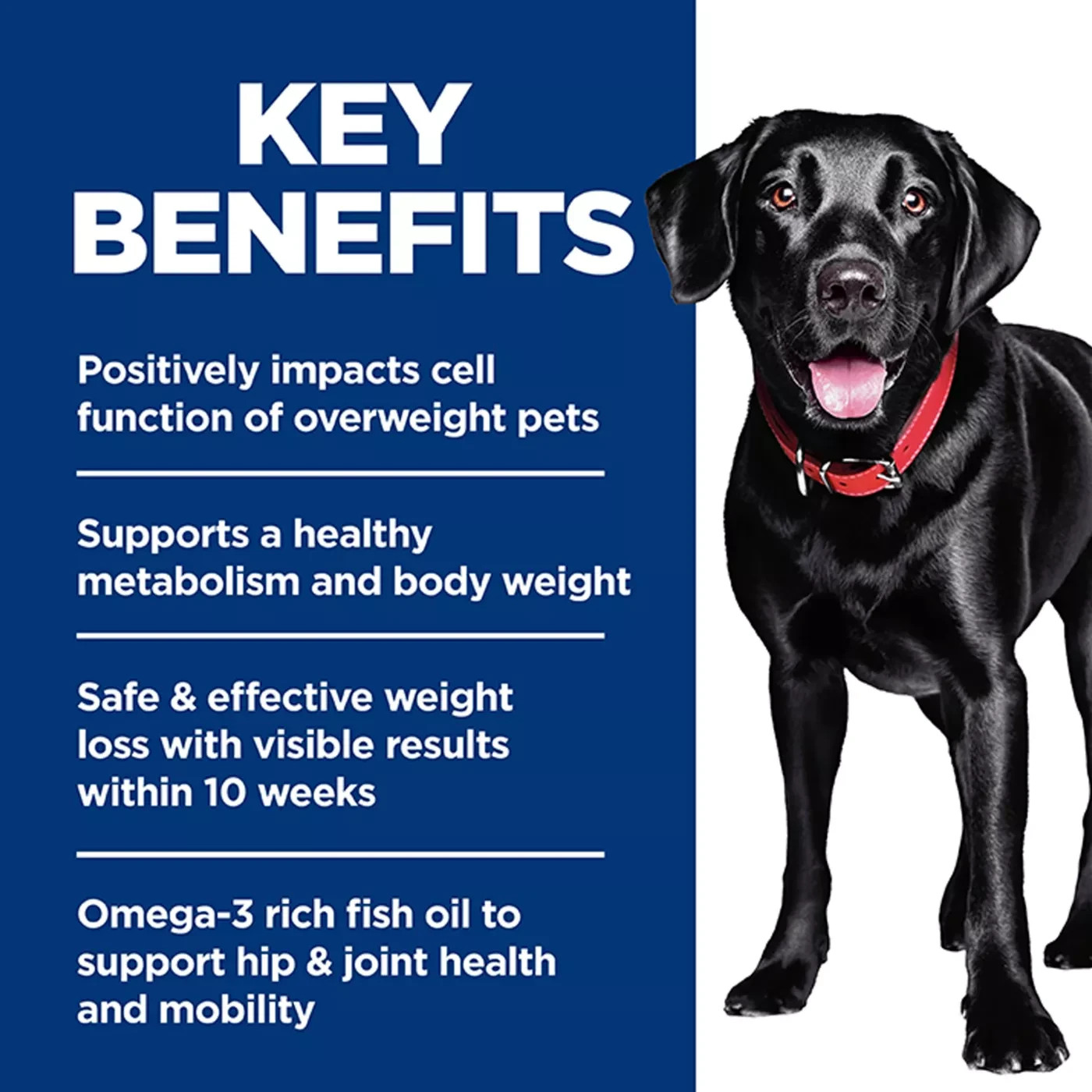 Hill’s Science Diet Perfect Weight + Joint Support Chicken Dry Dog Food, 25lb