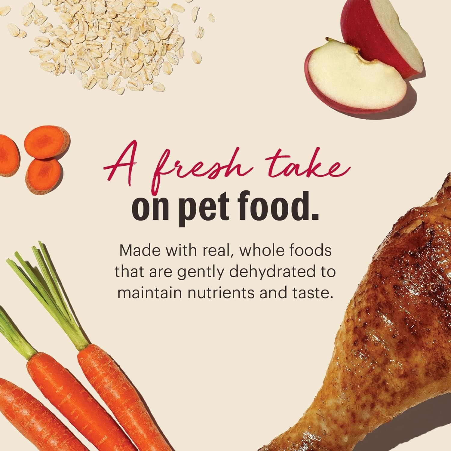 The Honest Kitchen Wholemade Whole Grain Adult Dehydrated Dog Food – Turkey