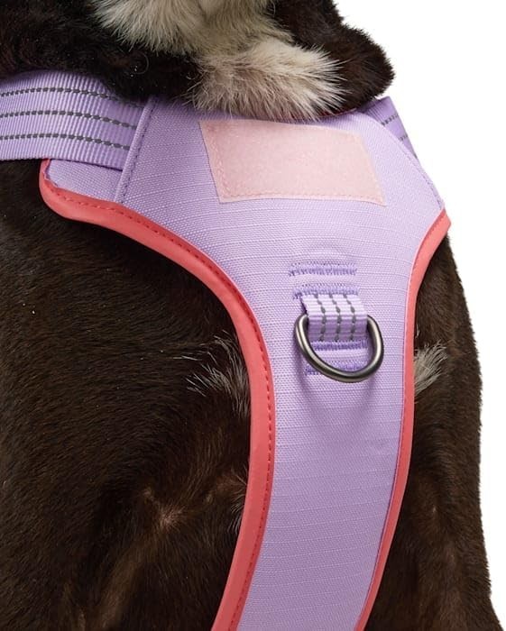 Tactical Service Dog Harness, Pink, XX-Large/3X-Large