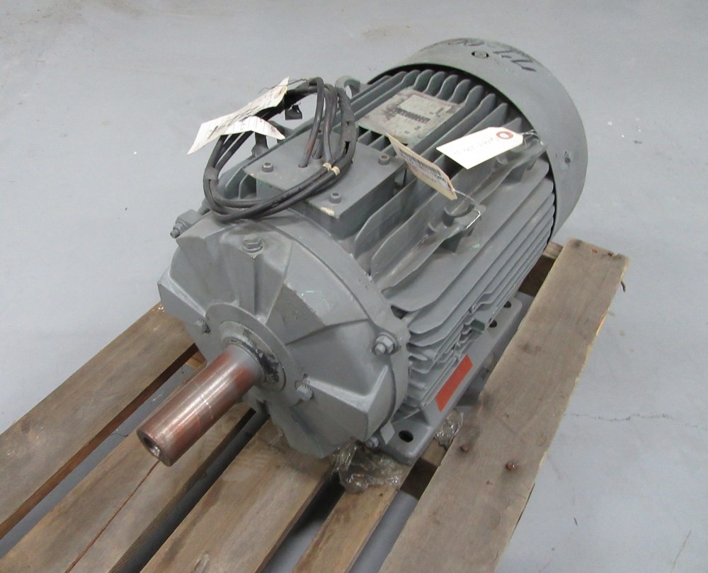 Moteur LS 160 LB-4 Motor M080.2746.19 30HP Job 96-3-43