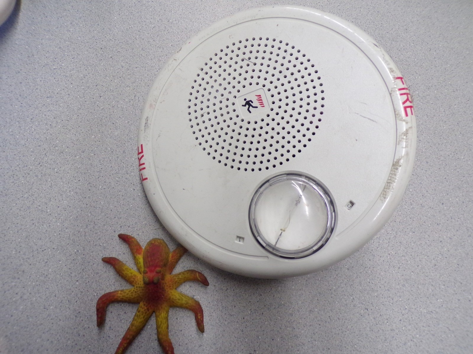 Multi CD Speaker Strobe 08031 S2813-11M7 *FREE SHIPPING*