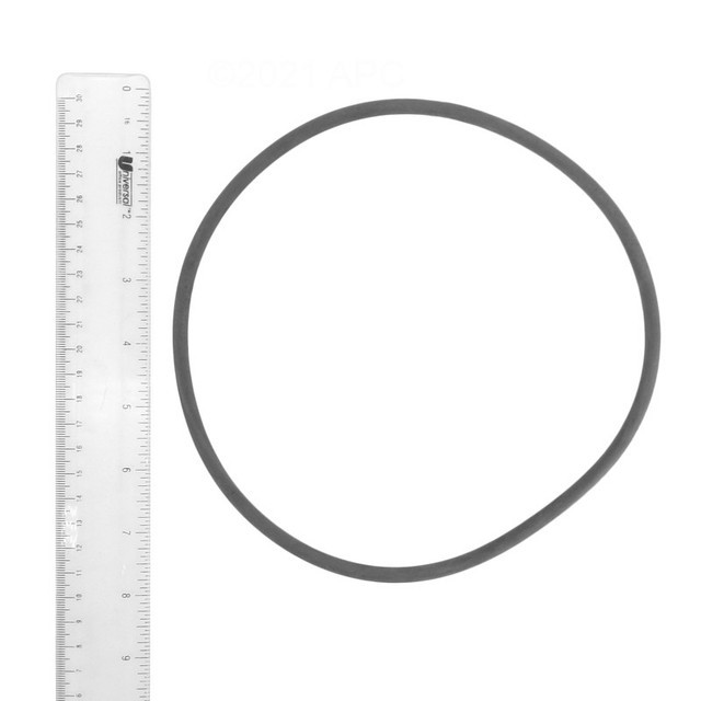Astral Products 4404180201 O-Ring Filter Lid