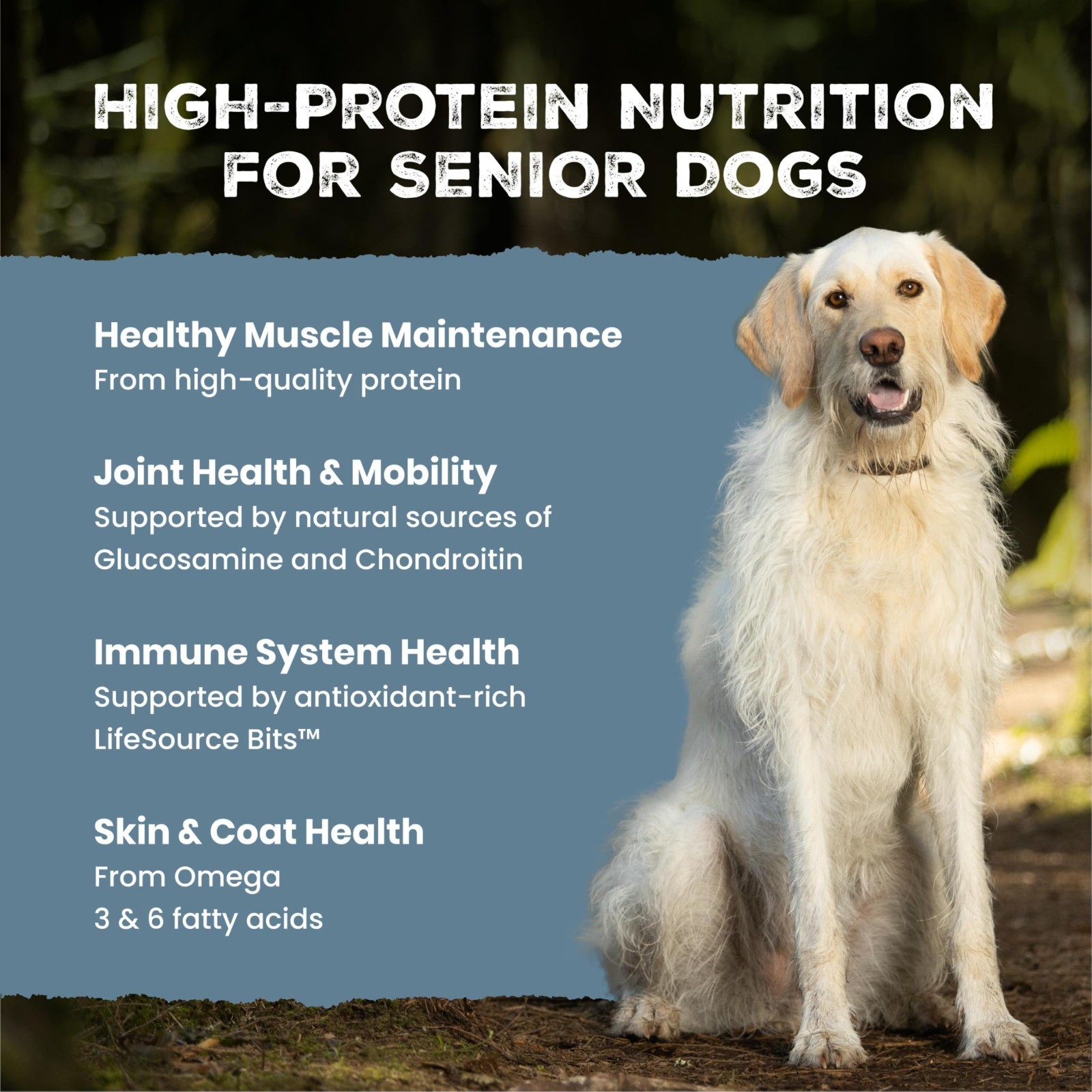 Blue Buffalo Wilderness Chicken Senior Dry Dog Food with Wholesome Grains,28 lbs