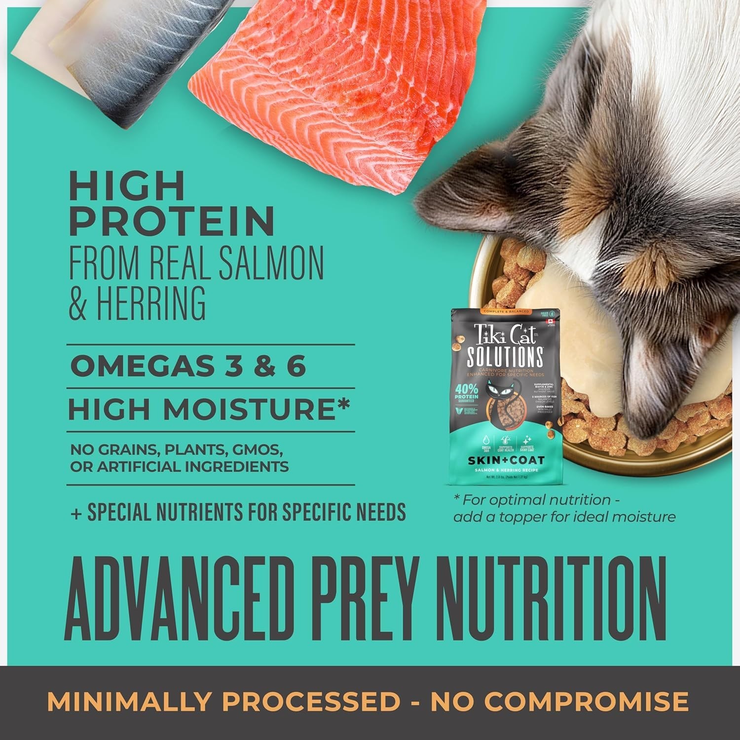 Tiki Cat Solutions Skin & Coat, Salmon & Herring Dry Cat Food, 5.6 lbs.